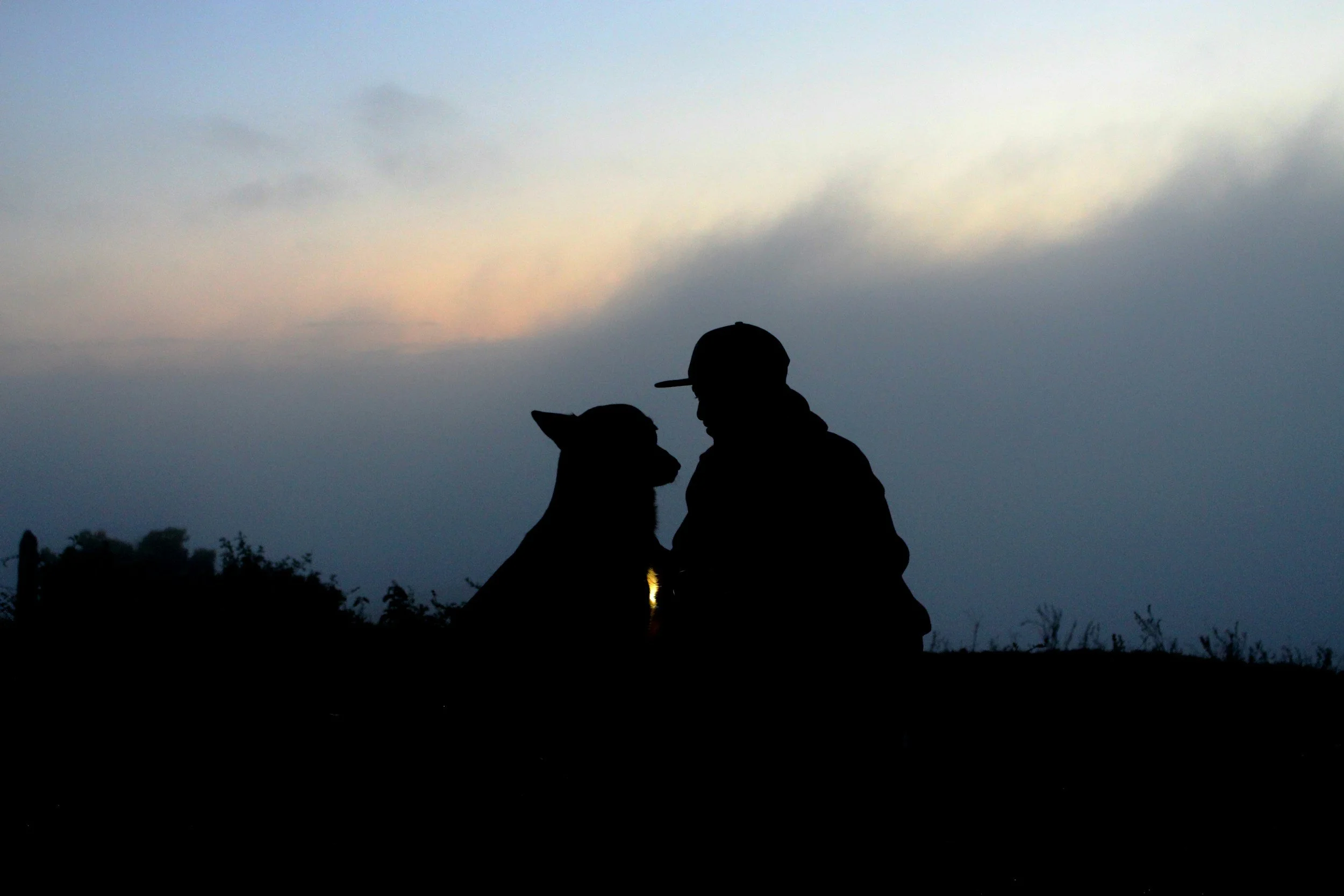 When People Need Support, Pets Do Too: Why Giving to Animals Matters This Colorado Gives Day