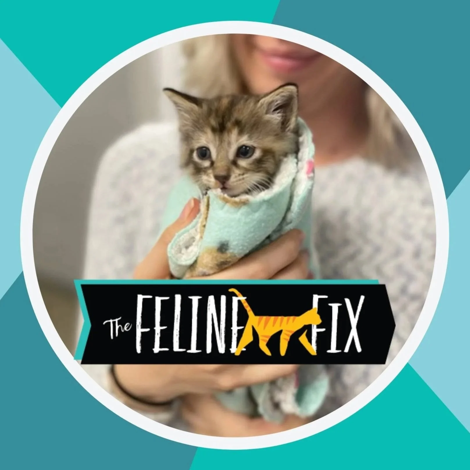 feline fix logo