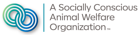 Socially Conscious Sheltering-logo
