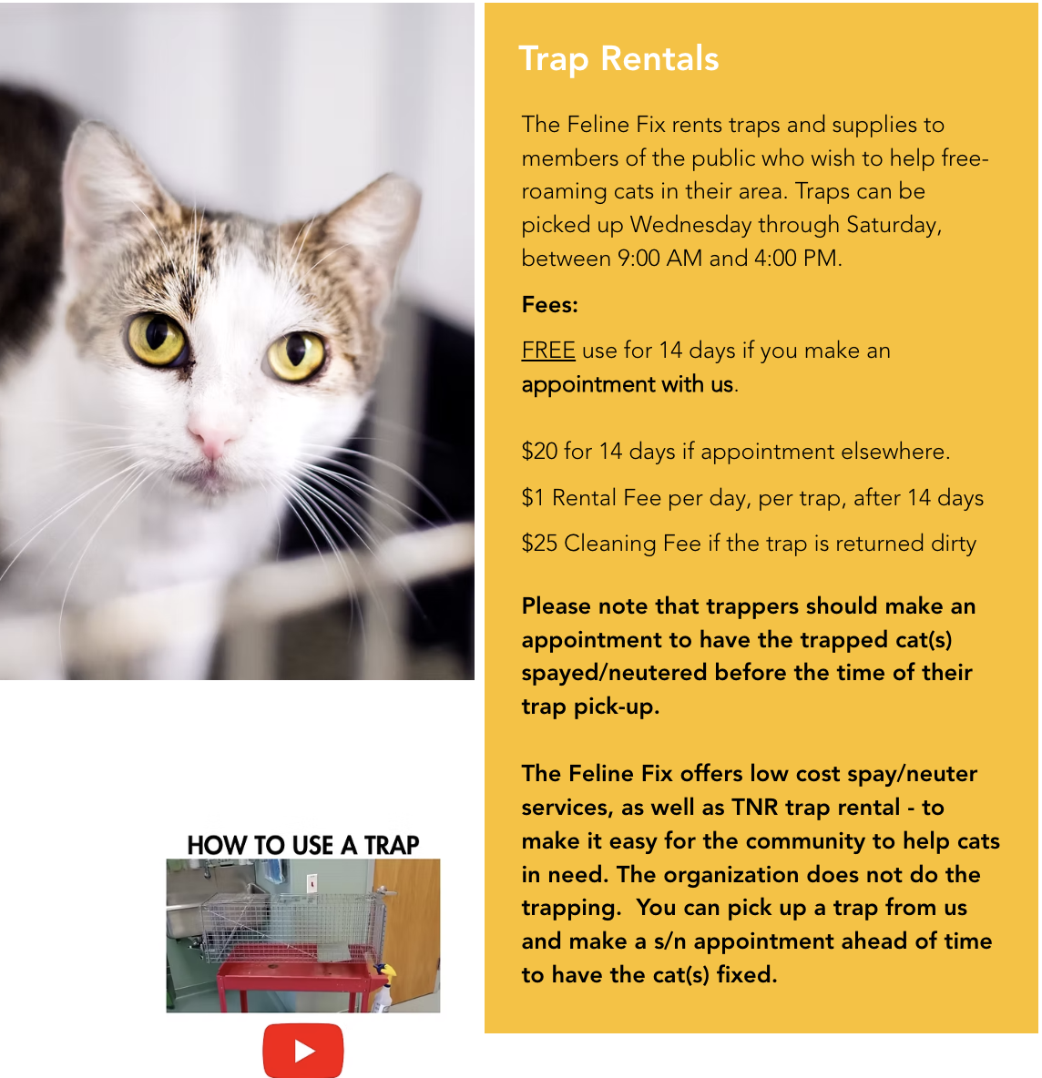screenshot of the feline fix'sTNR program