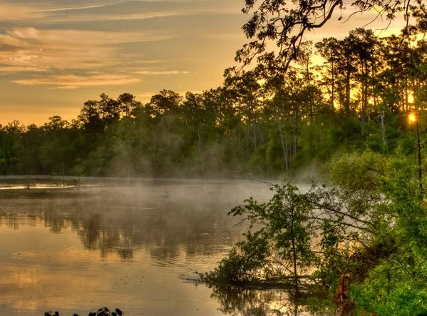 Village Creek State Park: primitive cooking and new faces