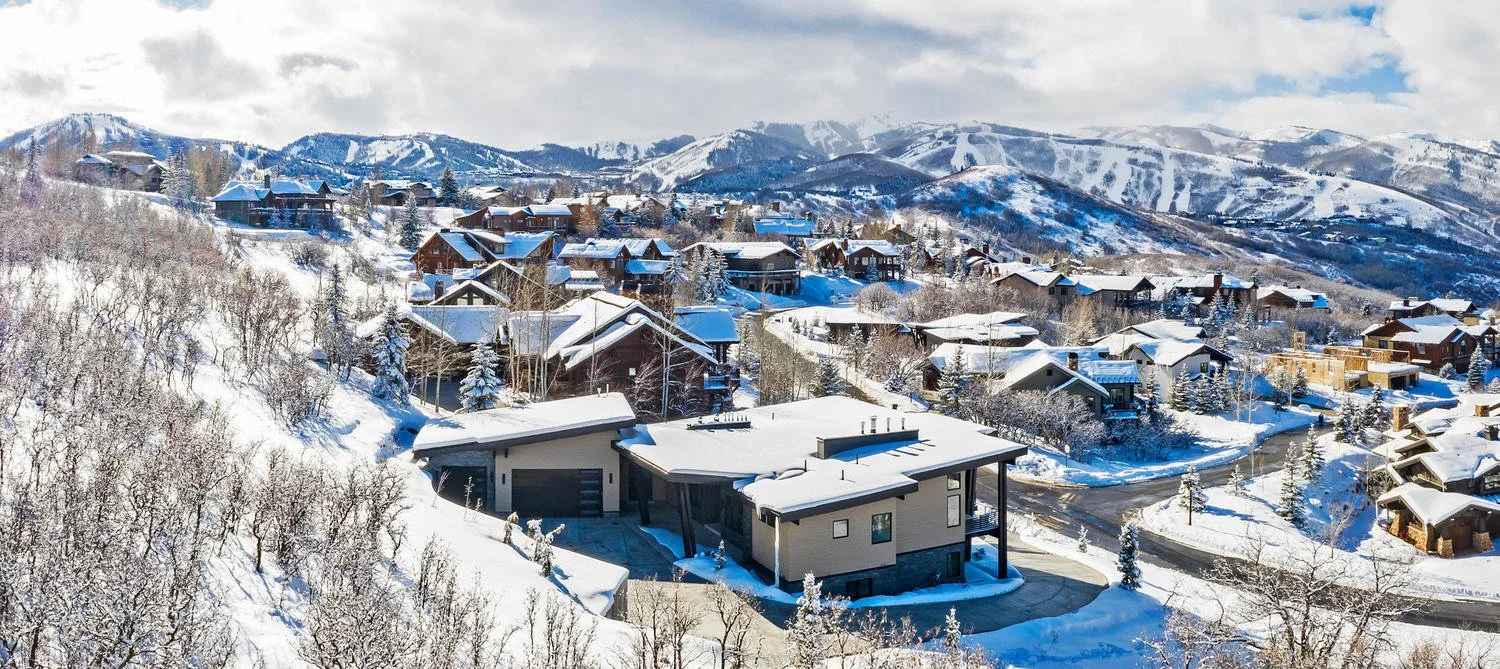 Snow-covered mountain village with houses and trees in a winter landscape.