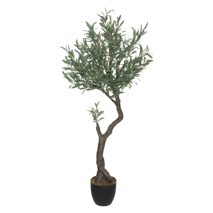 Oliveira
