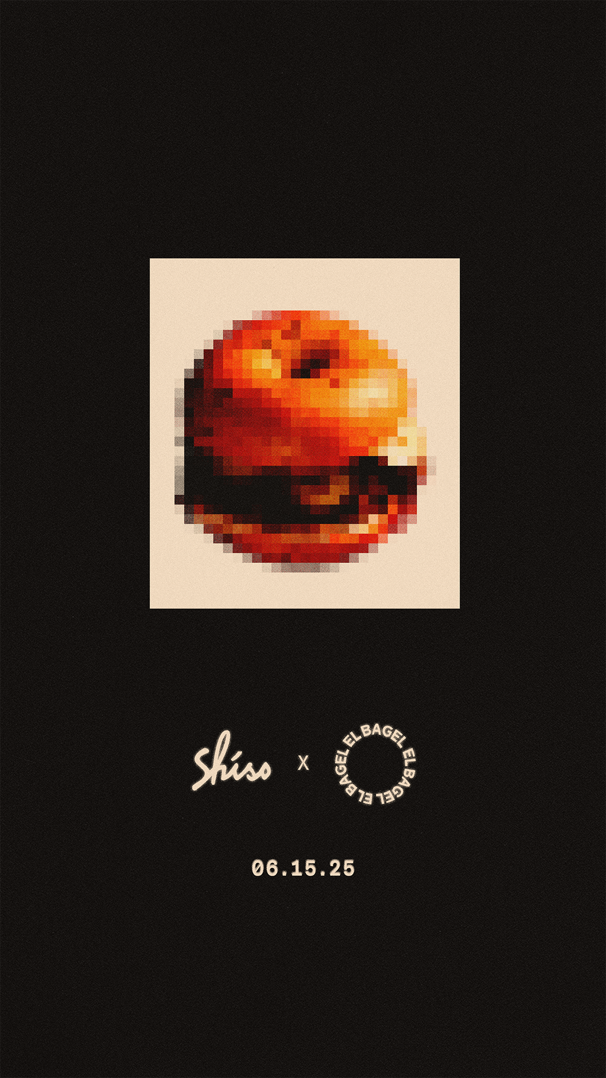 SHISO EL BAGEL.png