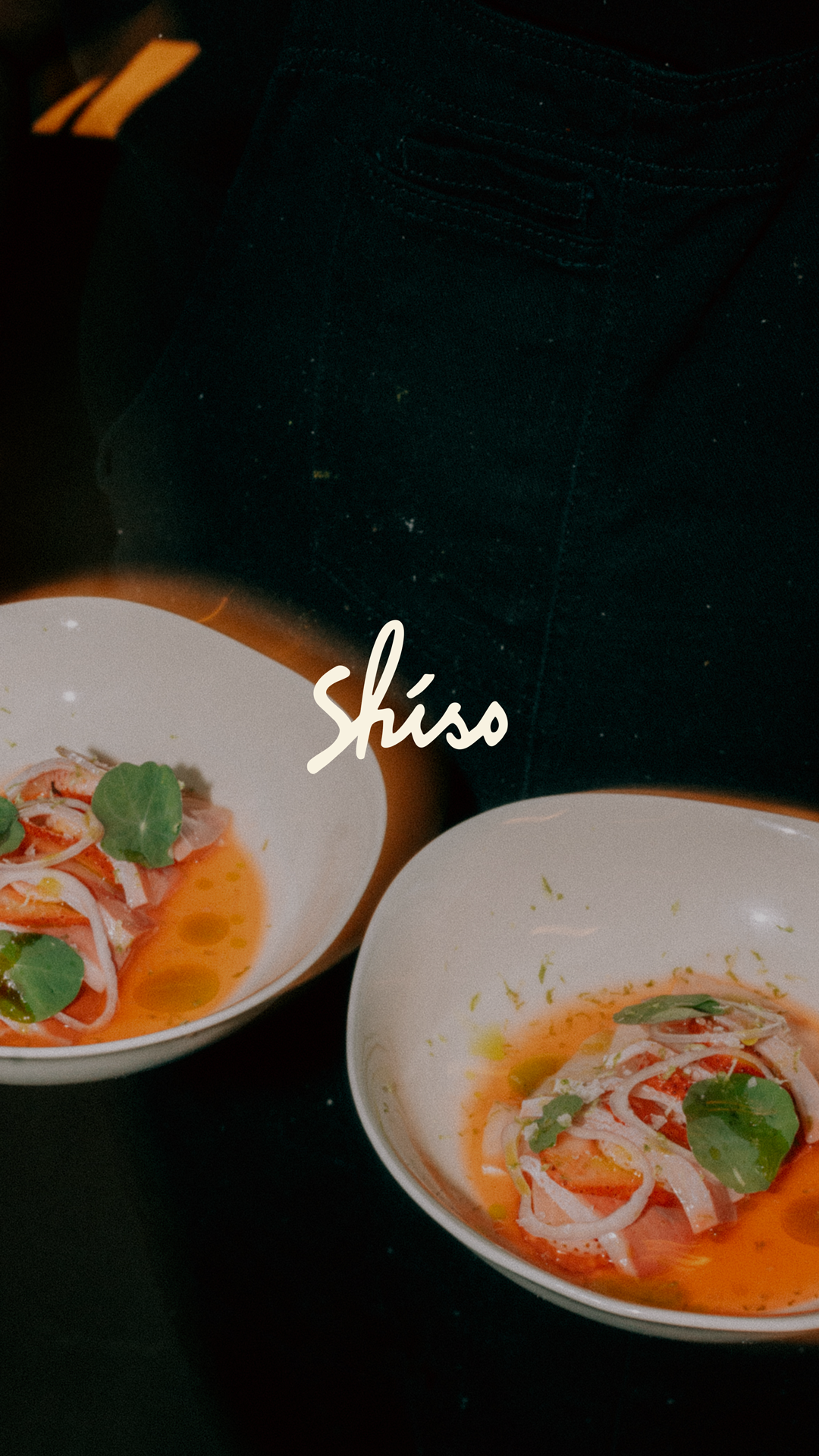 1SHISO-(1).png
