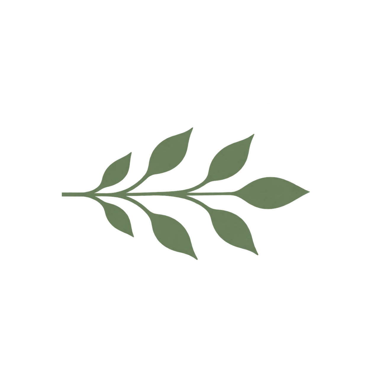 Green leafy branch with multiple leaves on a black background