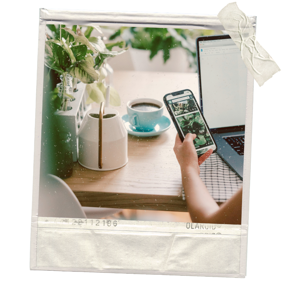Person taking a photo of a coffee cup and potted plants with a smartphone at a desk with a laptop.