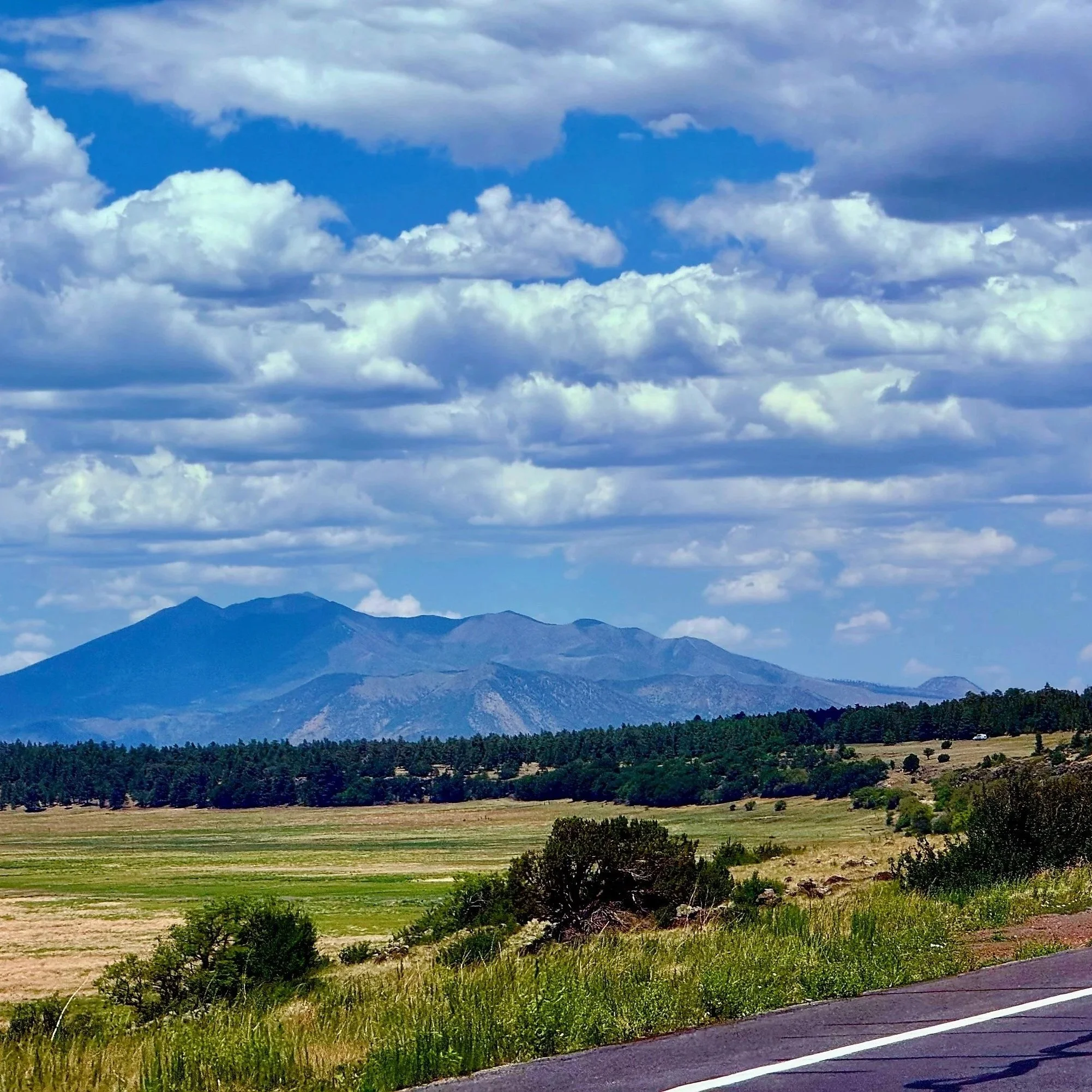 Scenic view of mountains in distance, green fields and forest, partly cloudy sky above, and a paved road in the foreground.