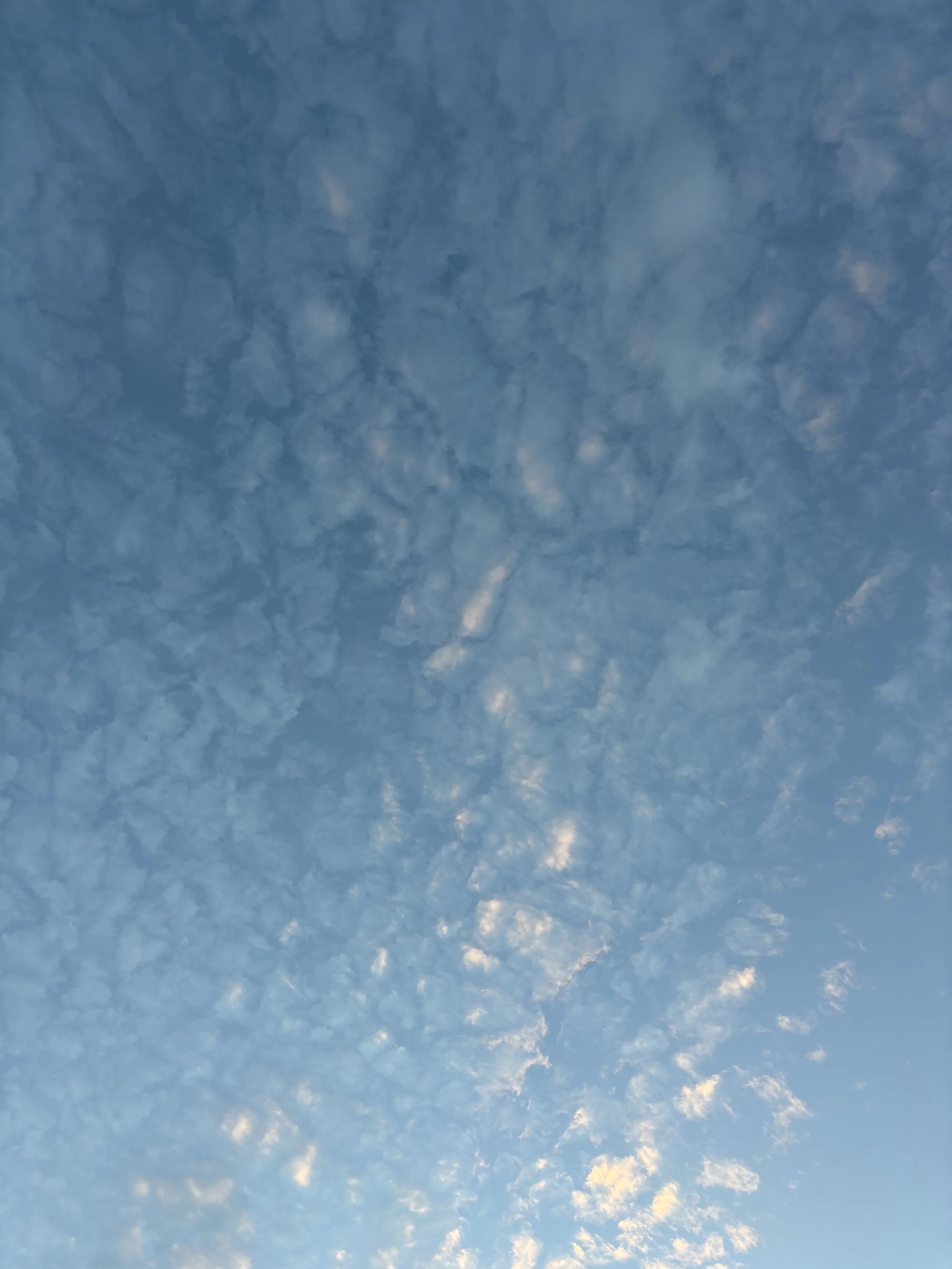 IMG_5470.jpeg