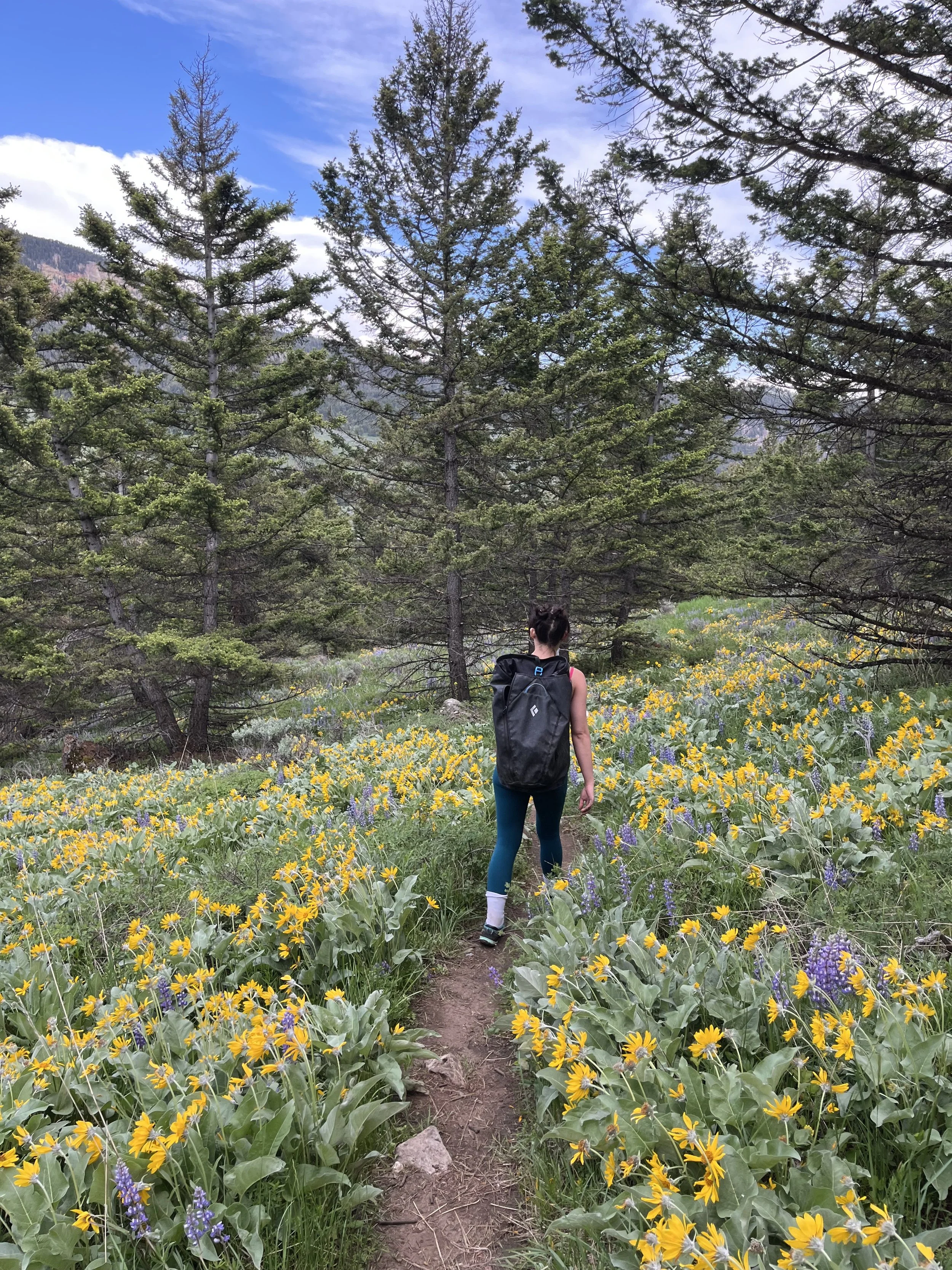 A woman hiking on a trail through a field of yellow flowers with purple flowers, surrounded by pine trees under a partly cloudy sky.
