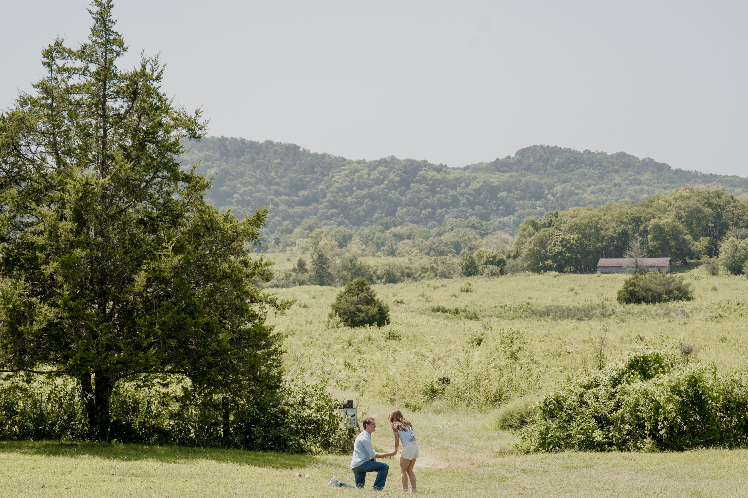 A couple with a man kneeling and a woman standing, holding hands, outdoors in a grassy area with trees and hills in the background.