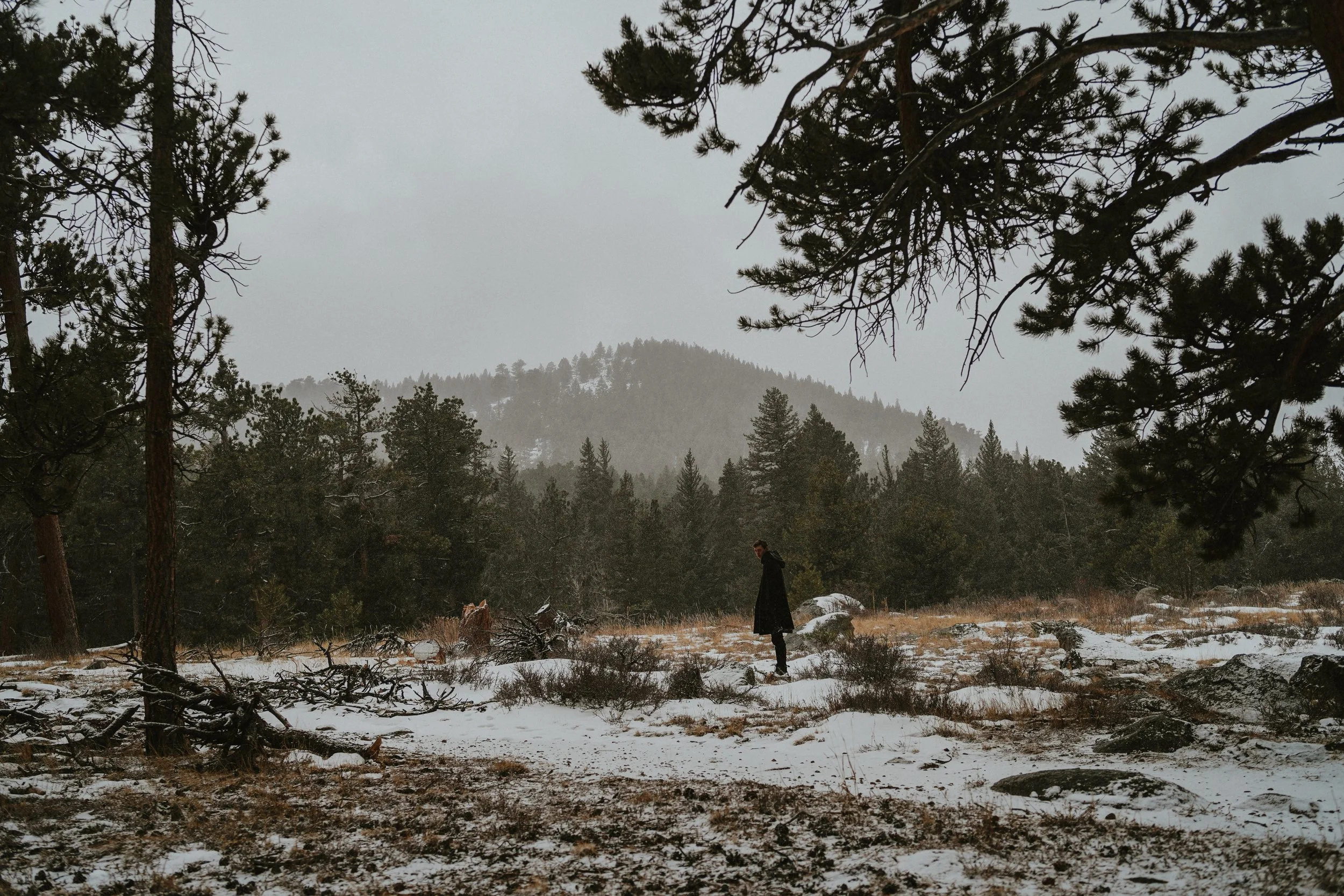 A person in a dark coat walking through a snowy clearing surrounded by tall pine trees, with mountains in the distance under a cloudy sky.