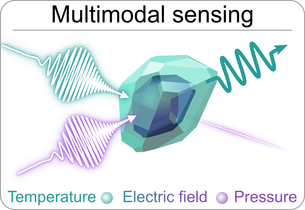 Matter with unique, orthogonal responses to specific environmental stimuli.