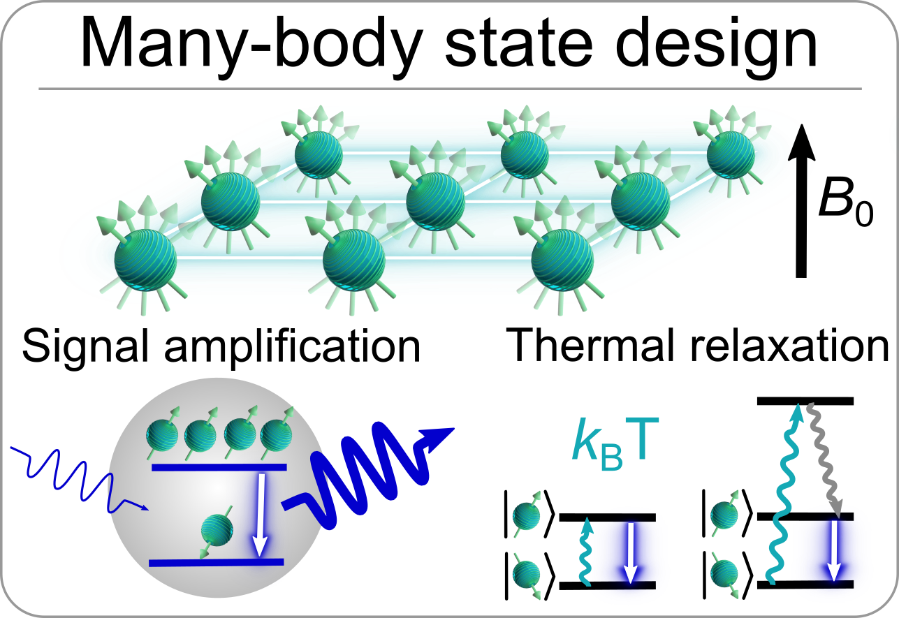 Creating interactions, weak or strong, in materials between well-defined quantum systems.