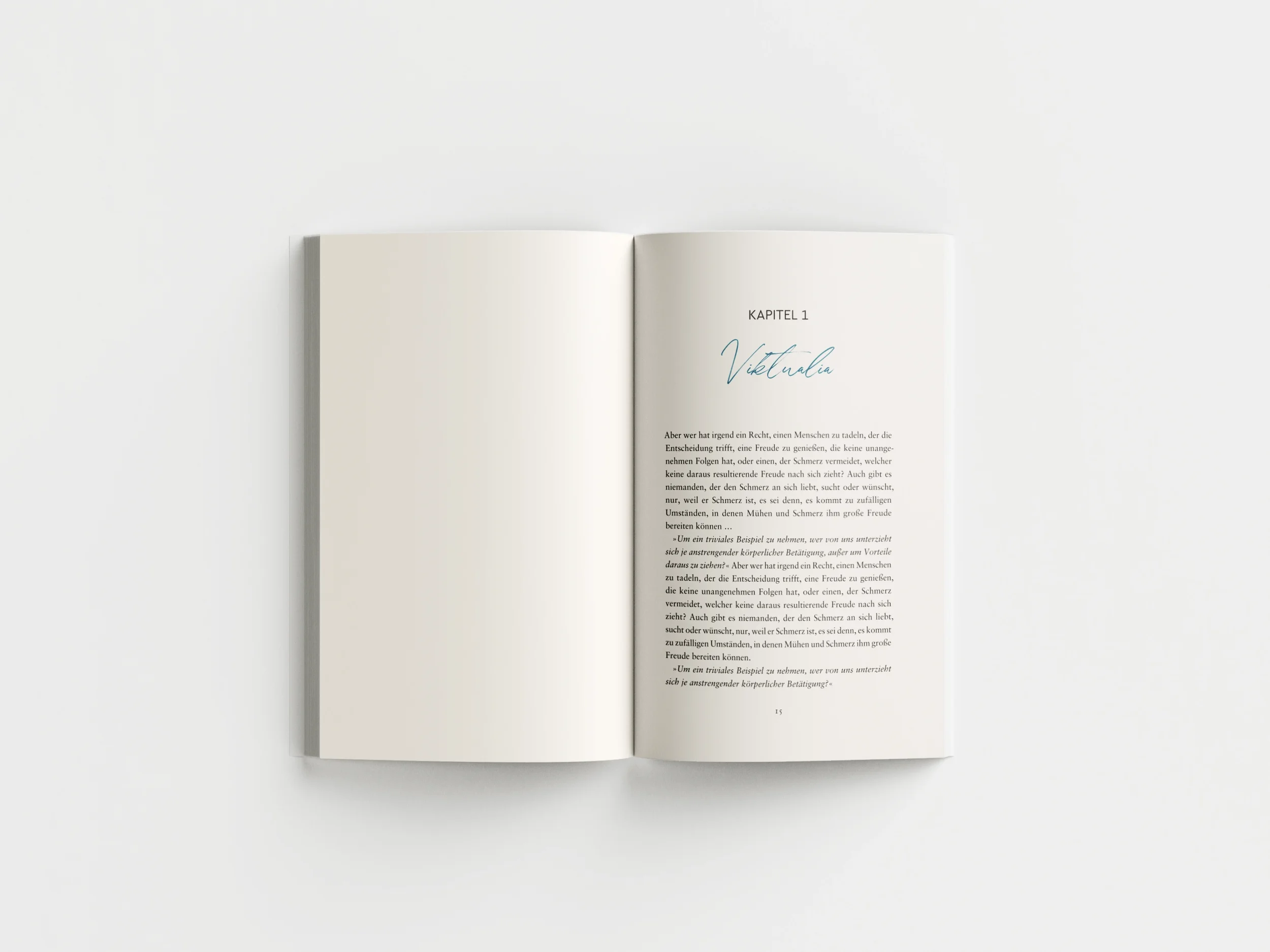 fuxstudio-Roman-Kapitel-Design-Layout-Portfolio-Typografie-New-Adult.webp