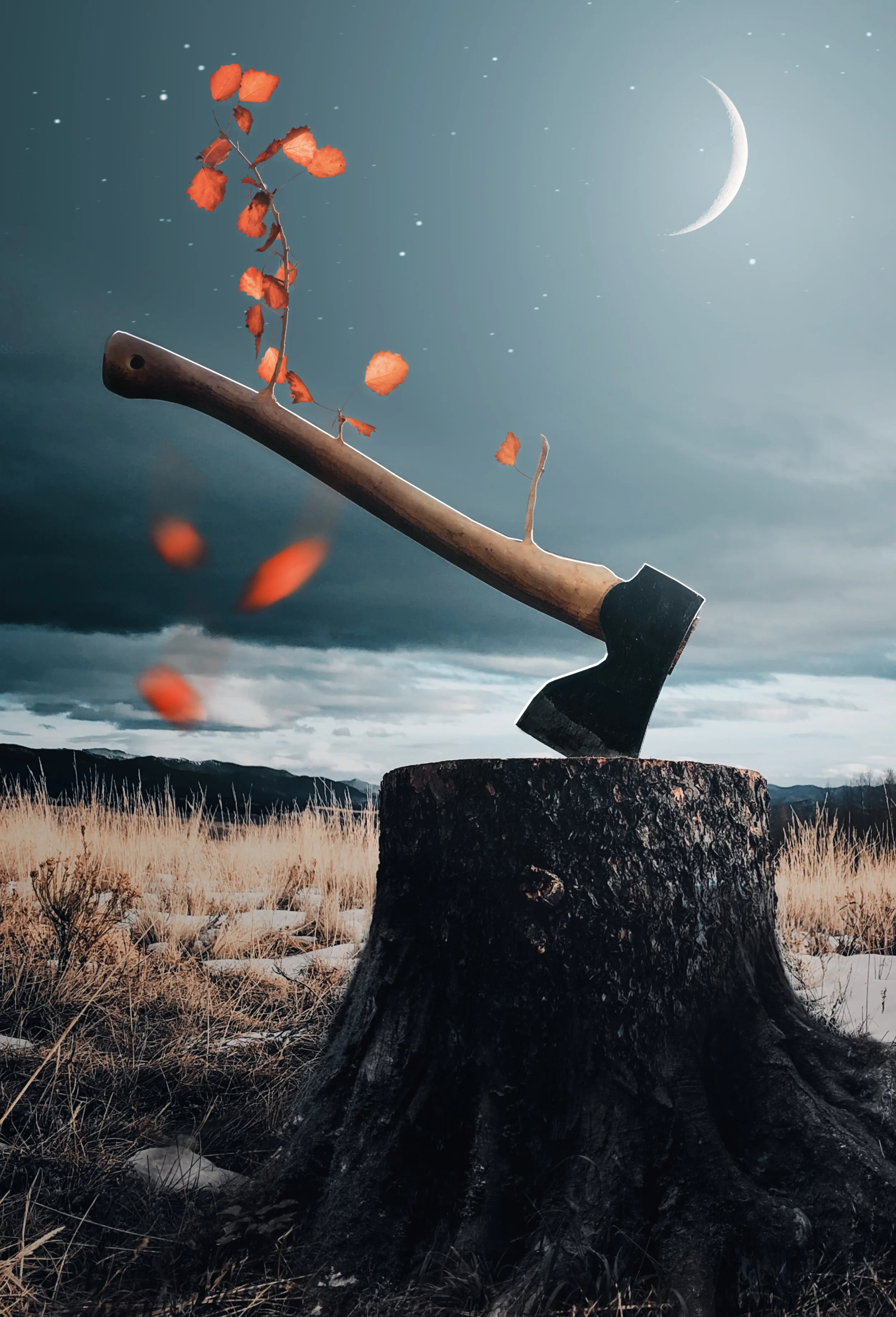 fuxstudio-portfolio-Collage-Digital-Surreal-Mond-Axt.webp
