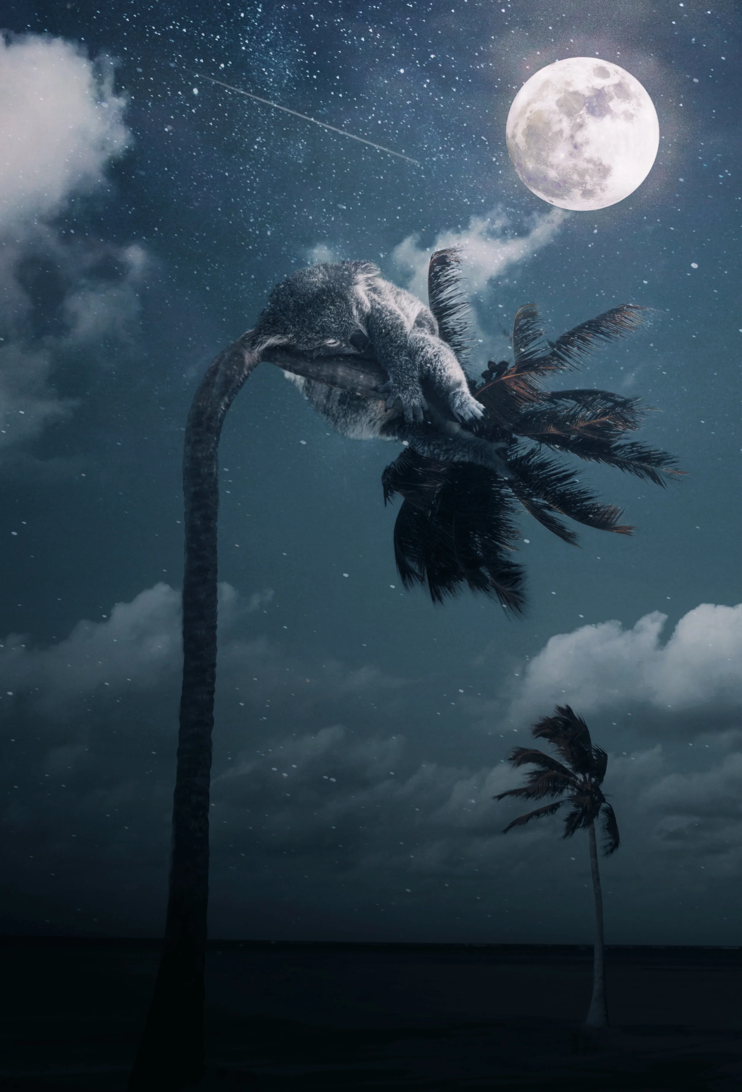 fuxstudio-portfolio-Collage-Digital-Surreal-Koala-Kunst.webp