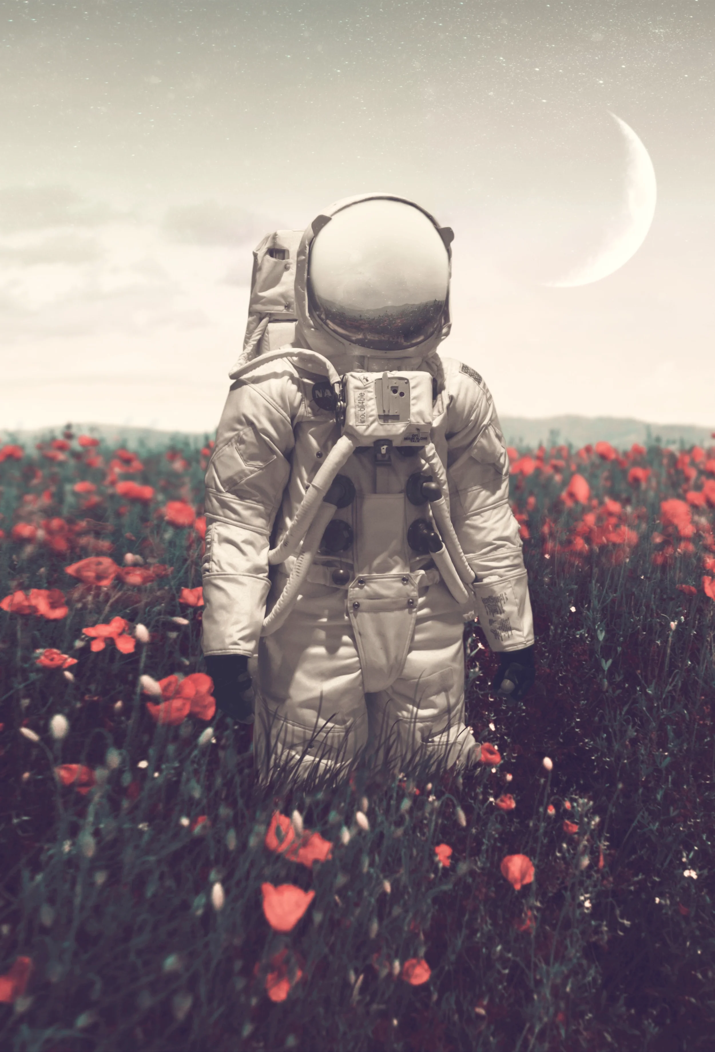 fuxstudio-portfolio-Collage-Digital-Surreal-Mond-Astronaut-im-Feld.webp