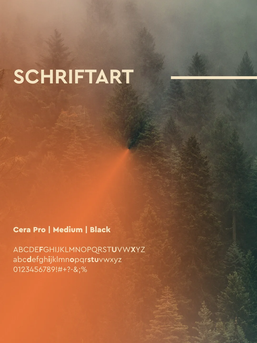 Verschneite Waldlandschaft mit Nebel, Bäume und Farbverlauf, Text zeigt Schriftartinformationen.