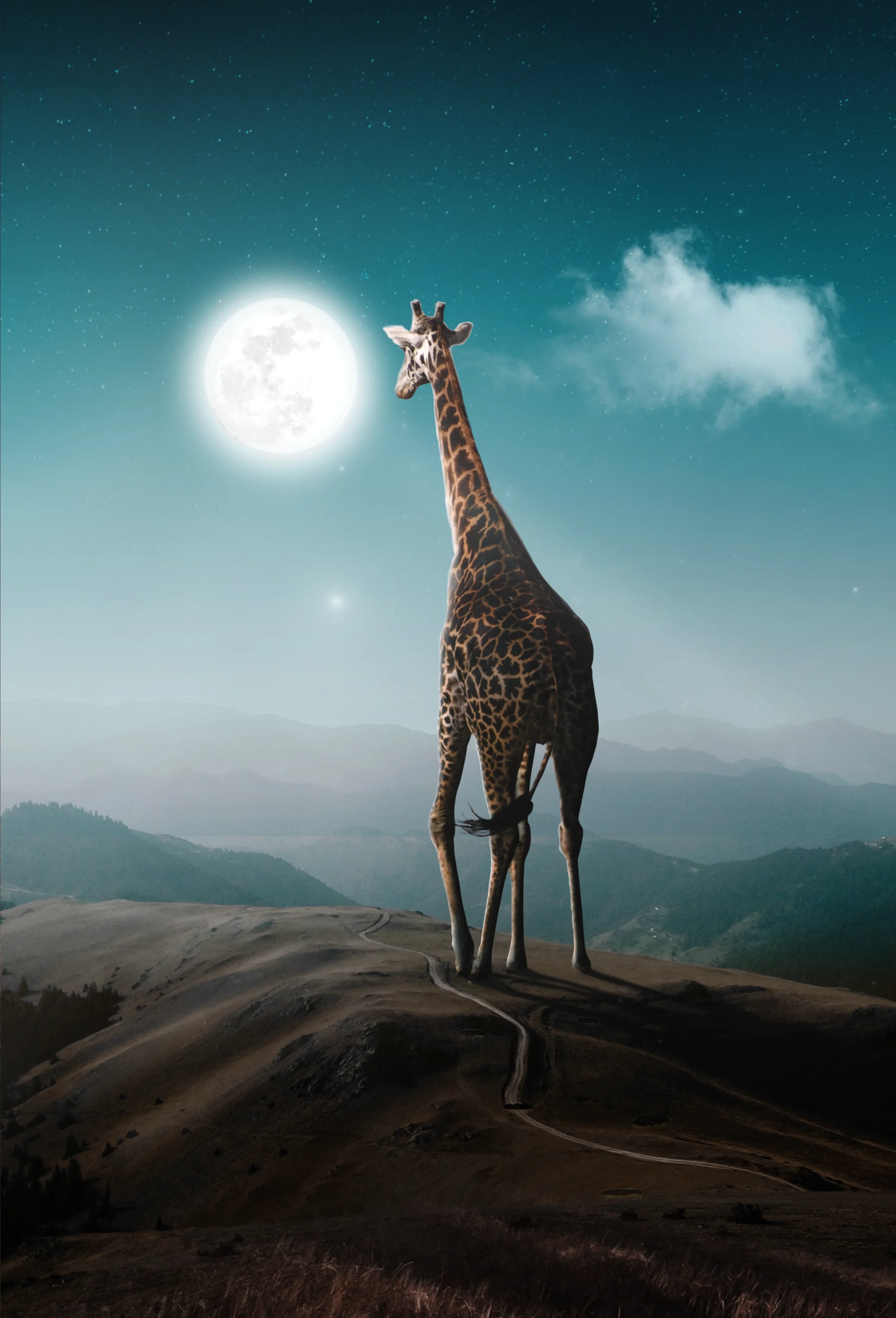 fuxstudio-portfolio-Collage-Digital-Surreal-Mond-Giraffe-im-Feld.webp