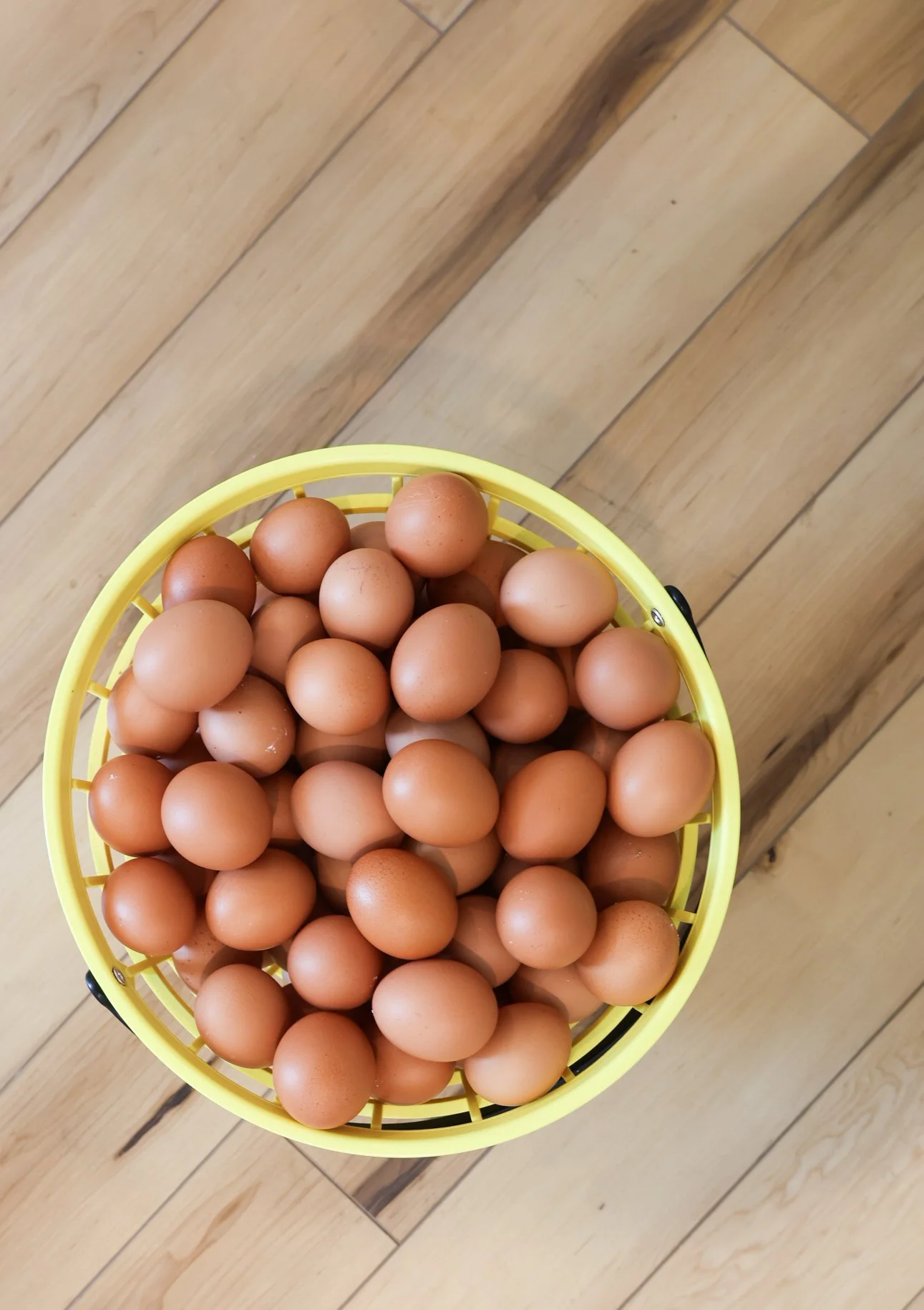 Lionheart Local Eggs.jpg