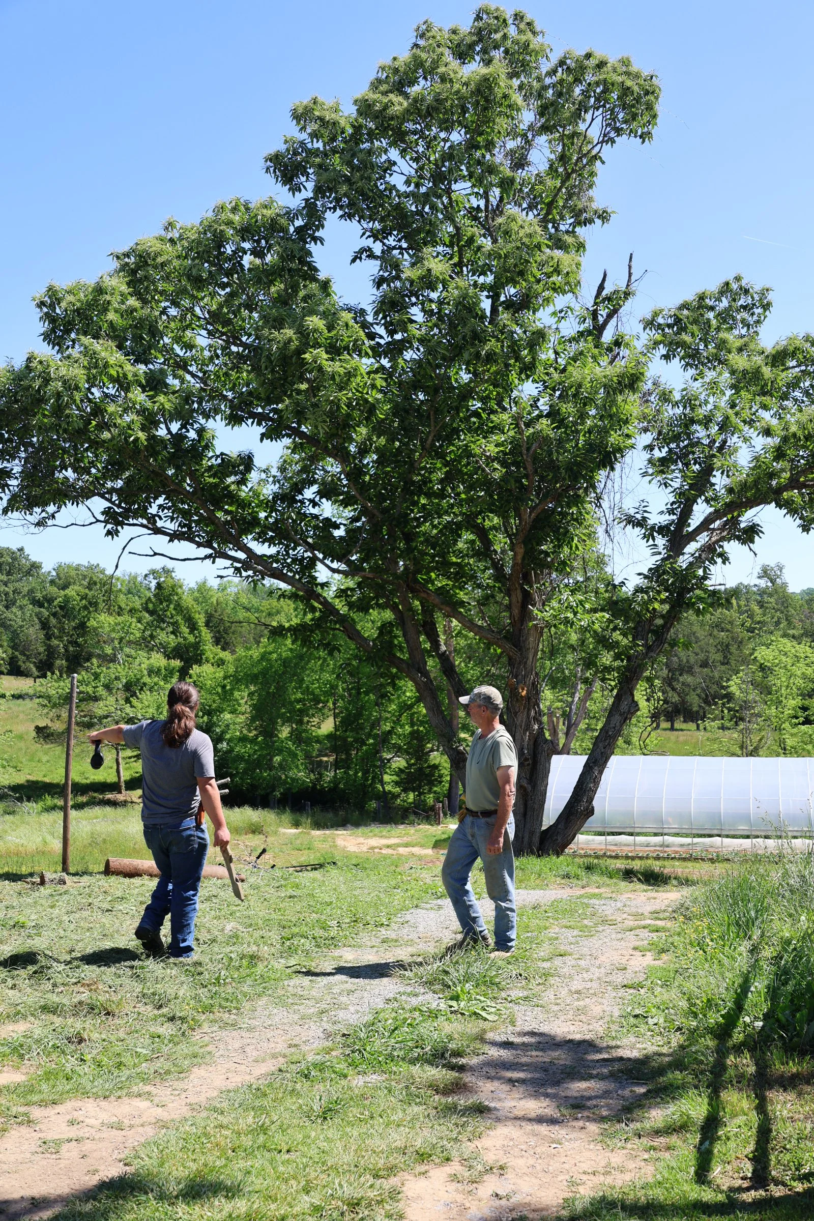Lionheart Farm May 2026-20.jpg