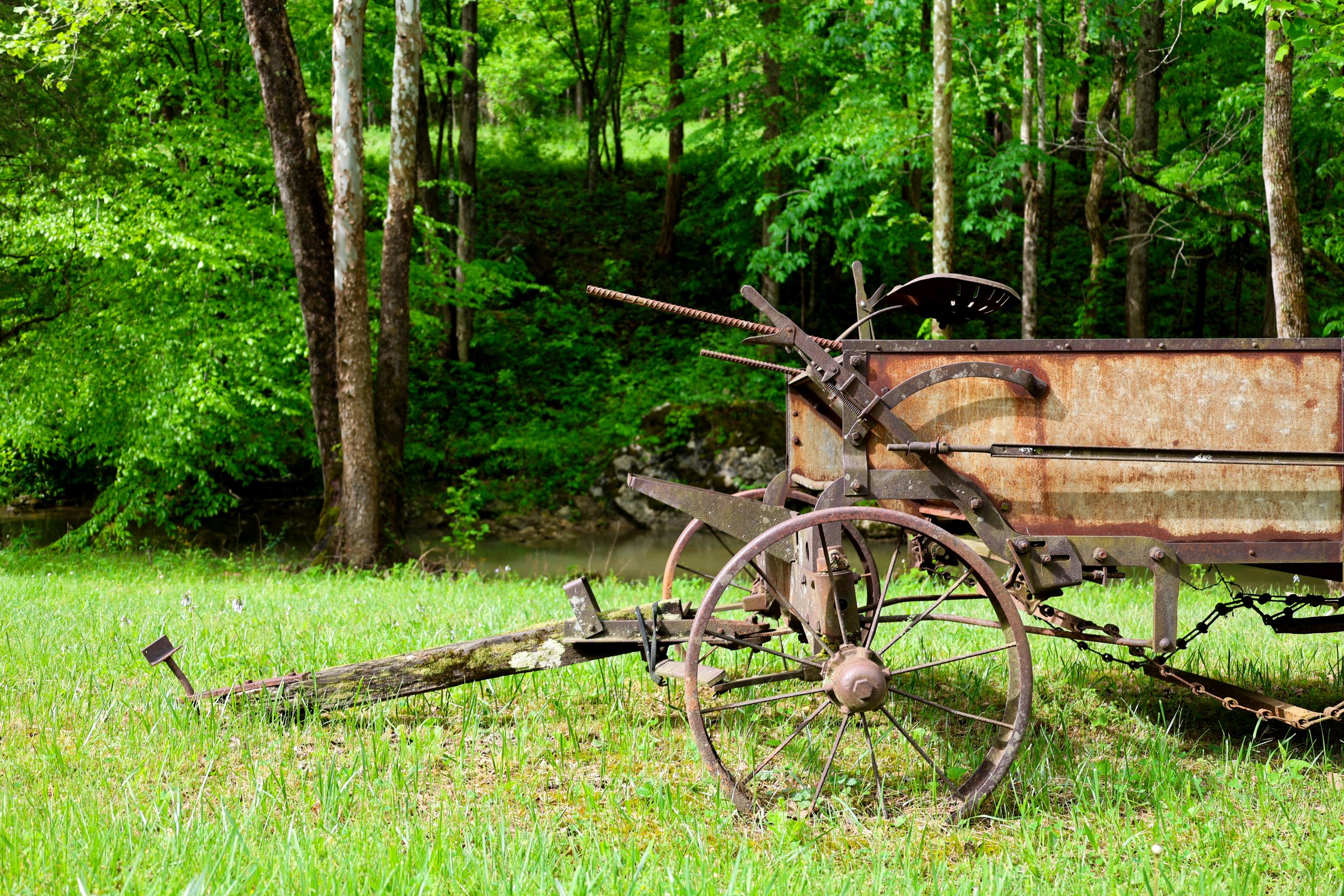 Lionheart Local Tractor.jpg