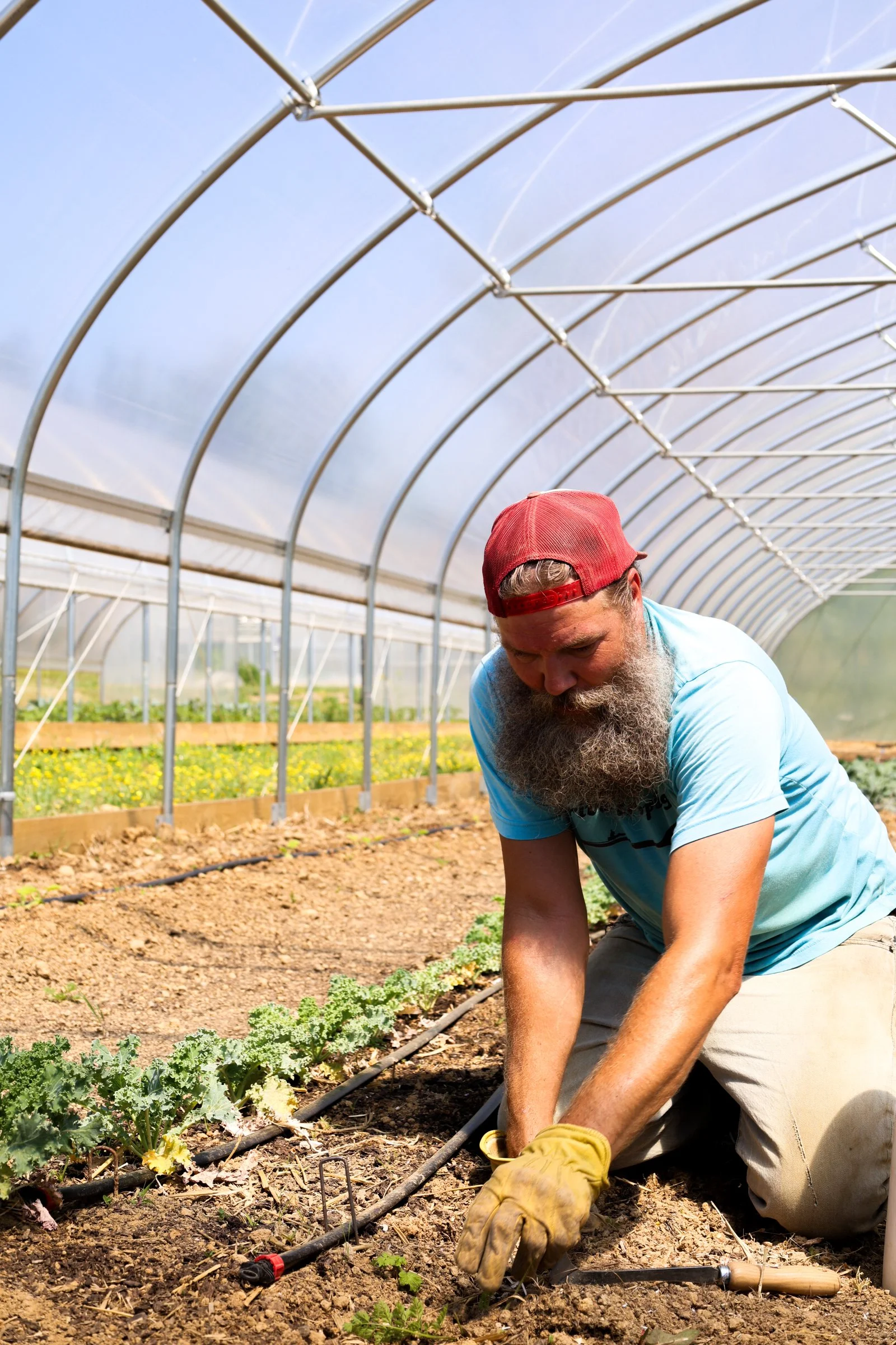Lionheart Farm May 2026-17.jpg