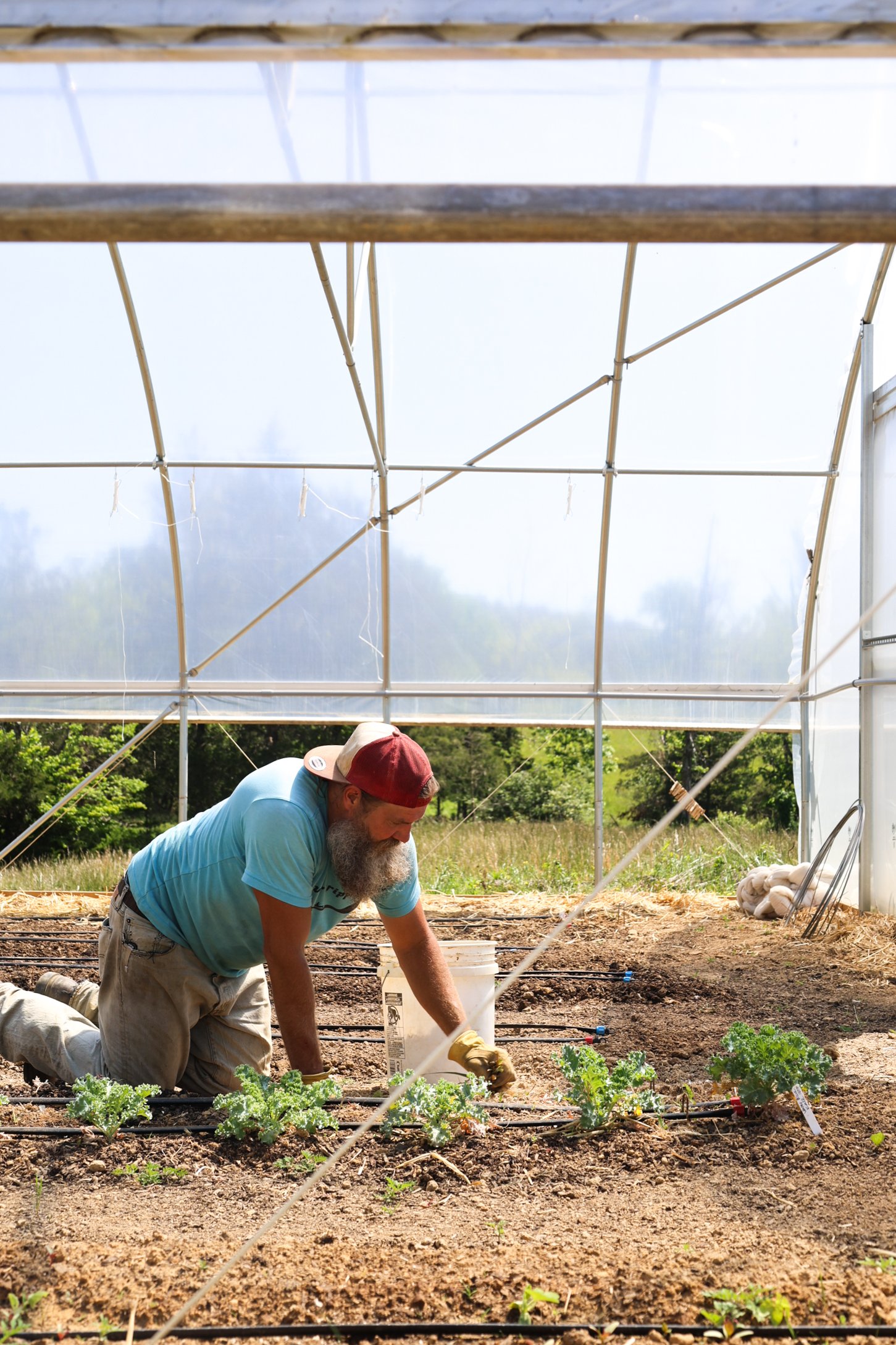 Lionheart Farm May 2026-18.jpg