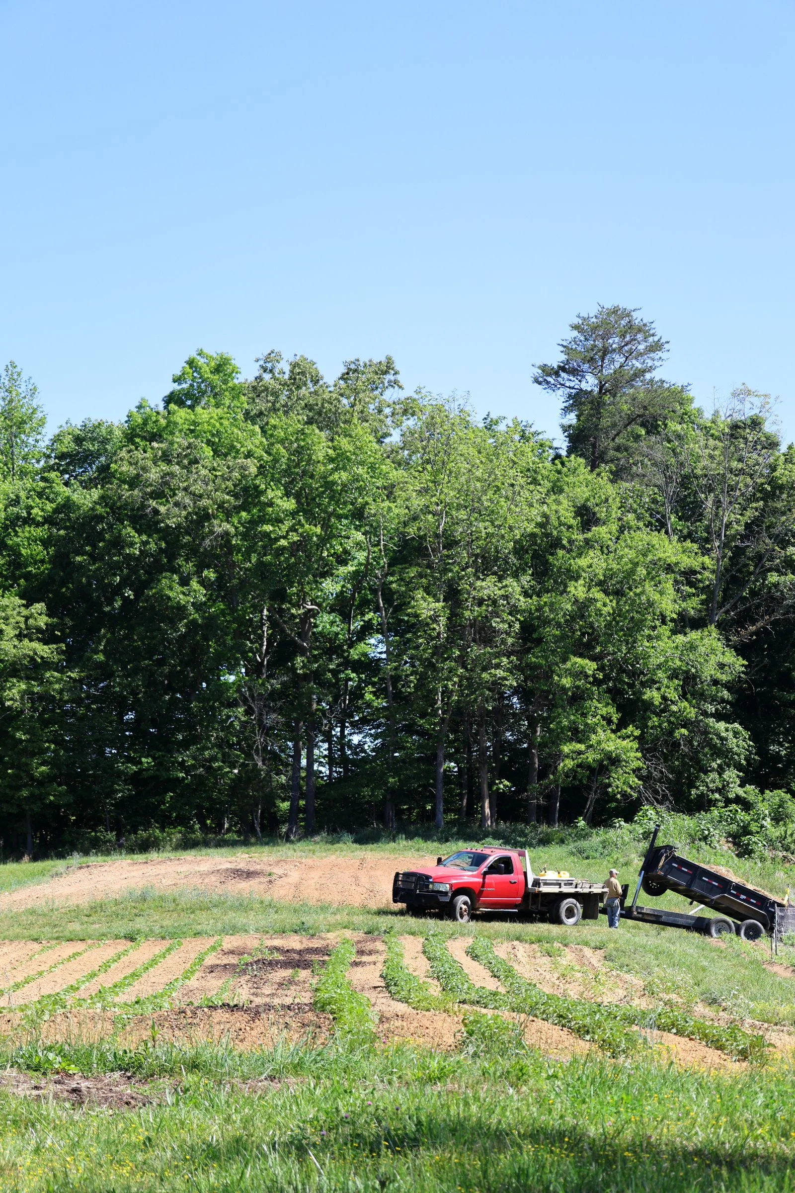 Lionheart Farm May 2026-35.jpg
