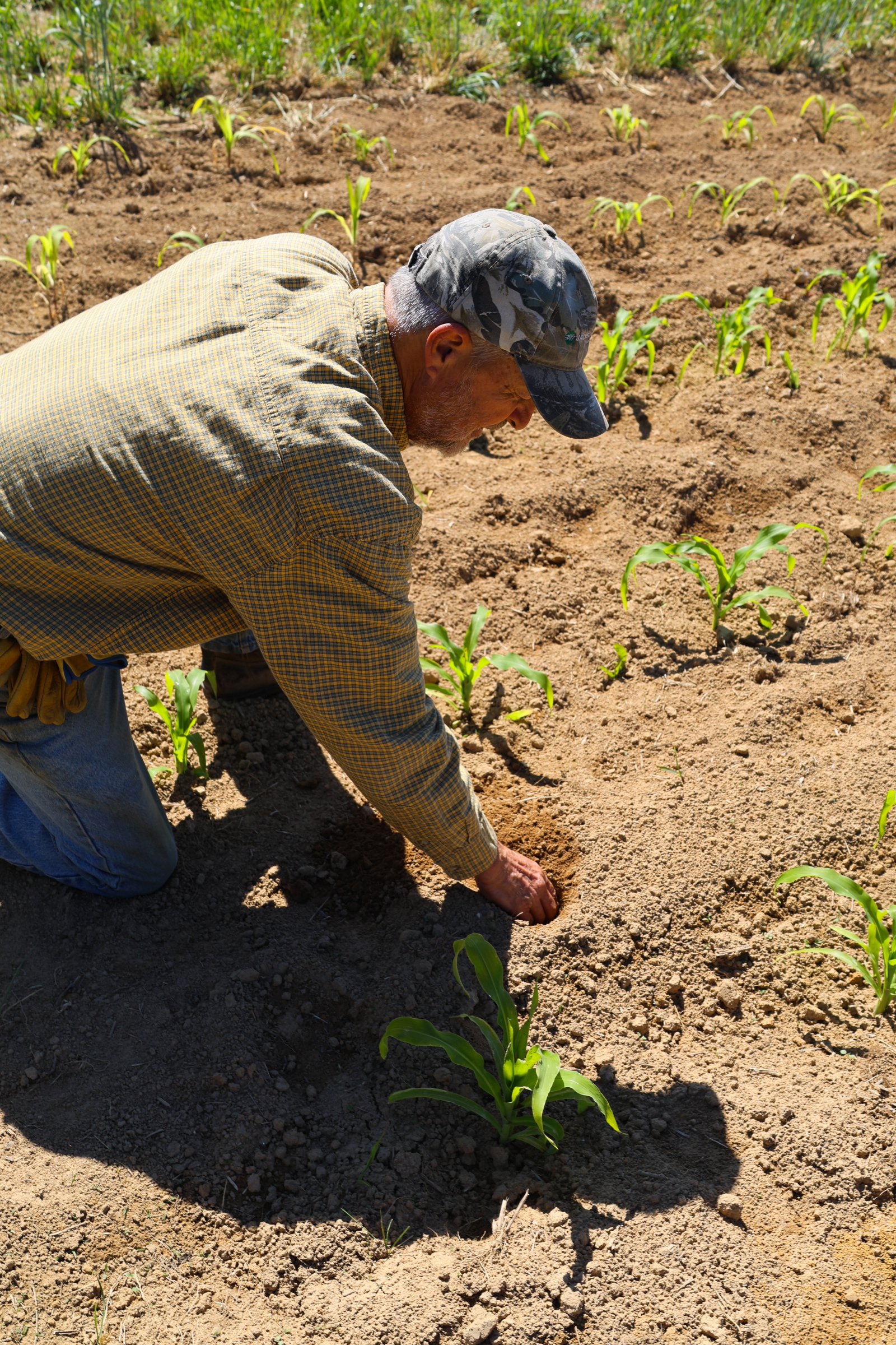 Lionheart Farm May 2026-49.jpg