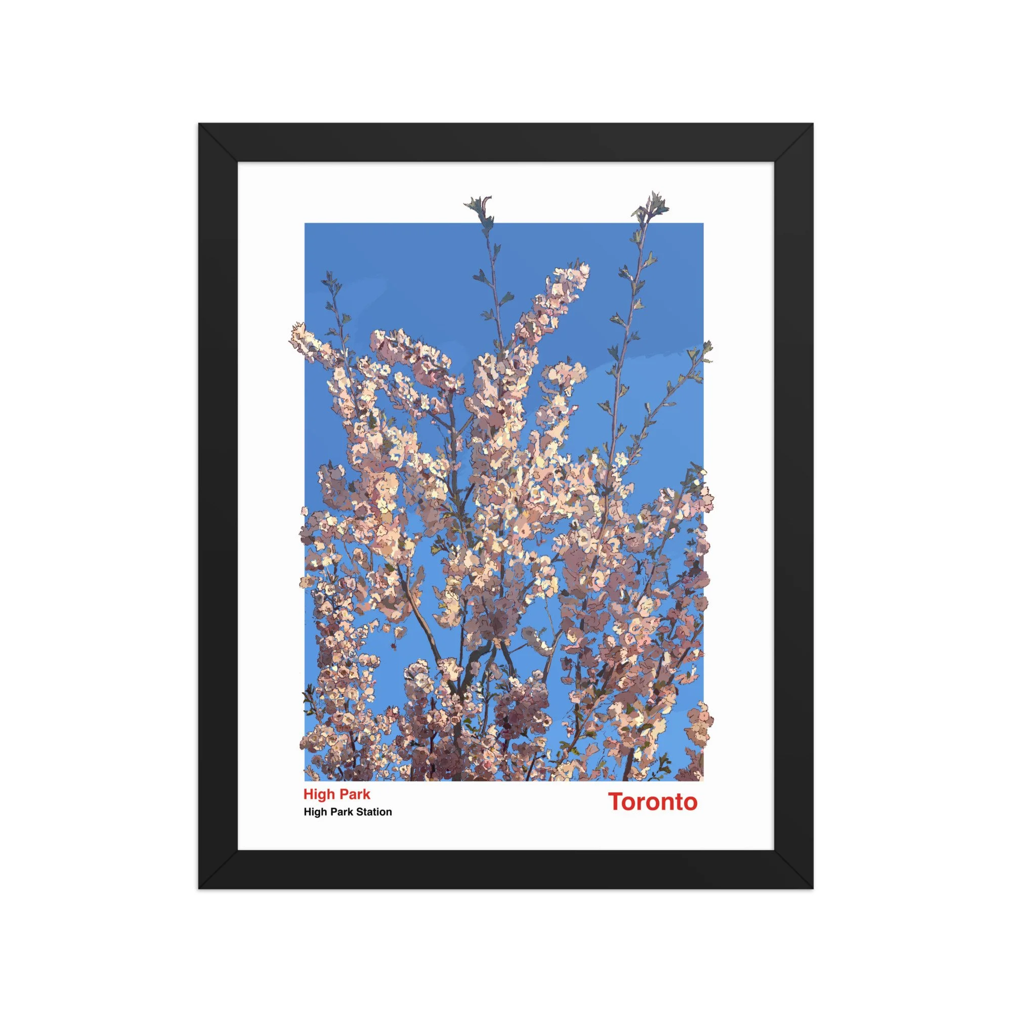 High Park Cherry Blossom Toronto Poster (Framed)