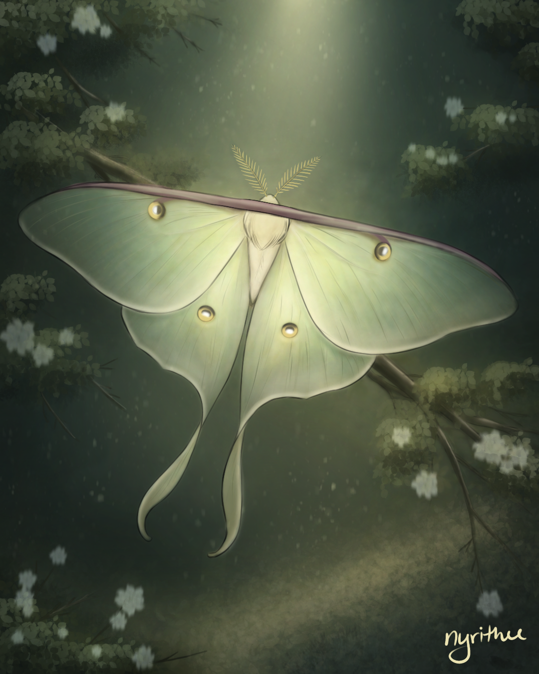 Untitled_Artwork 160.png