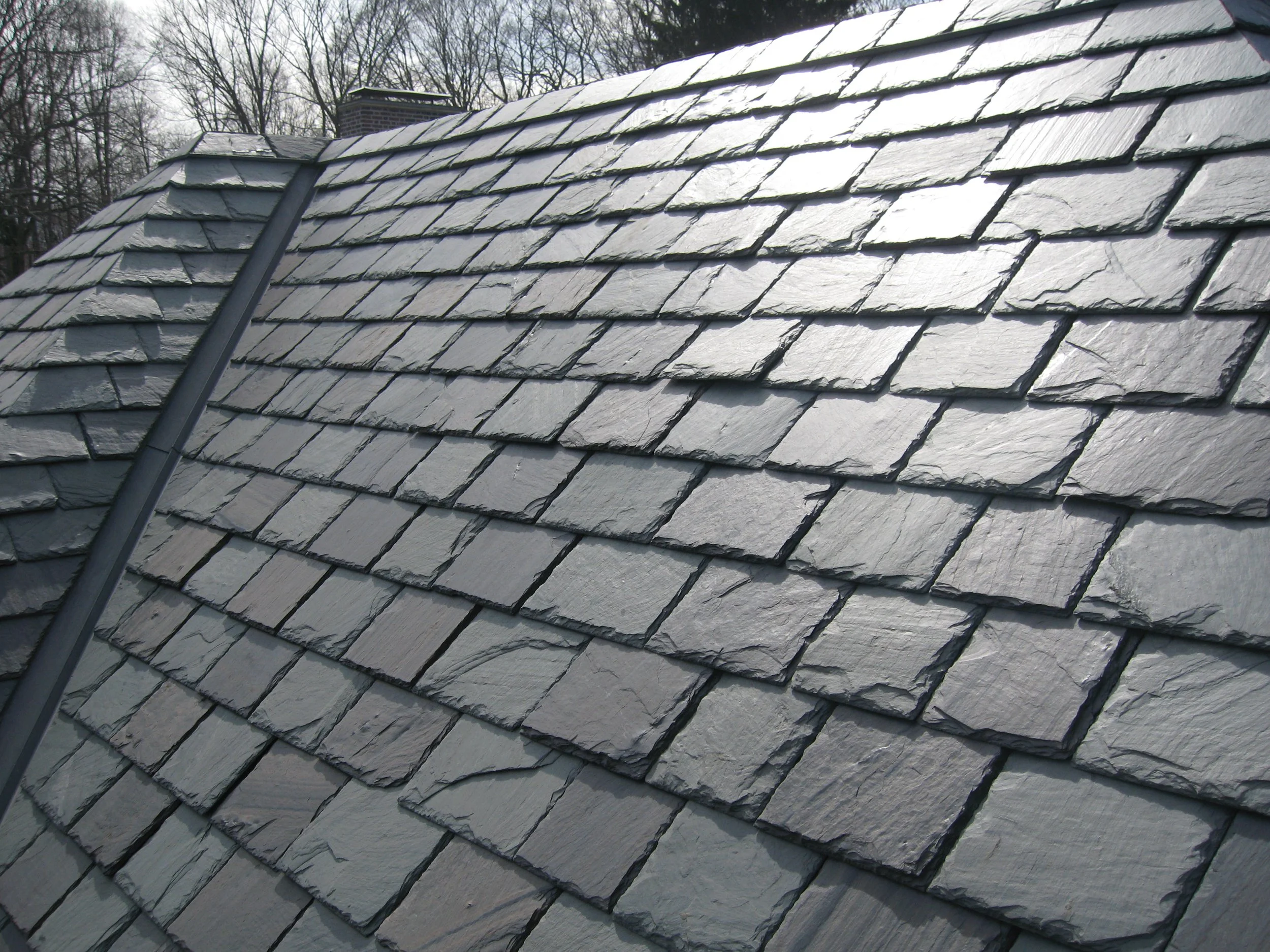 Close-up of a tiled roof with gray slate shingles and a black ridge cap, set against a background of leafless trees and a cloudy sky.
