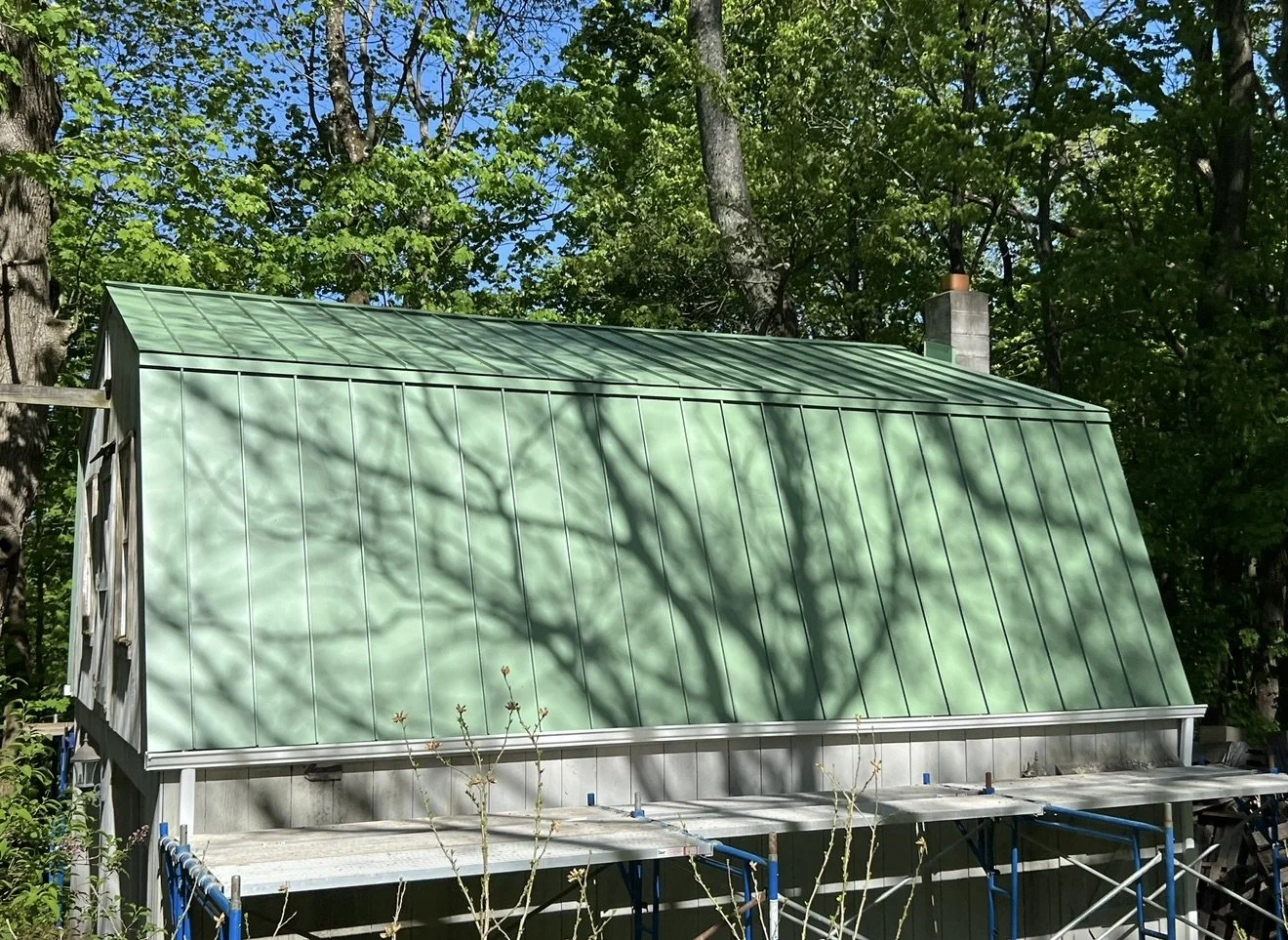 Photo of a house with a green metal roof, surrounded by tall trees with green leaves. Shadows of tree branches are cast on the roof.