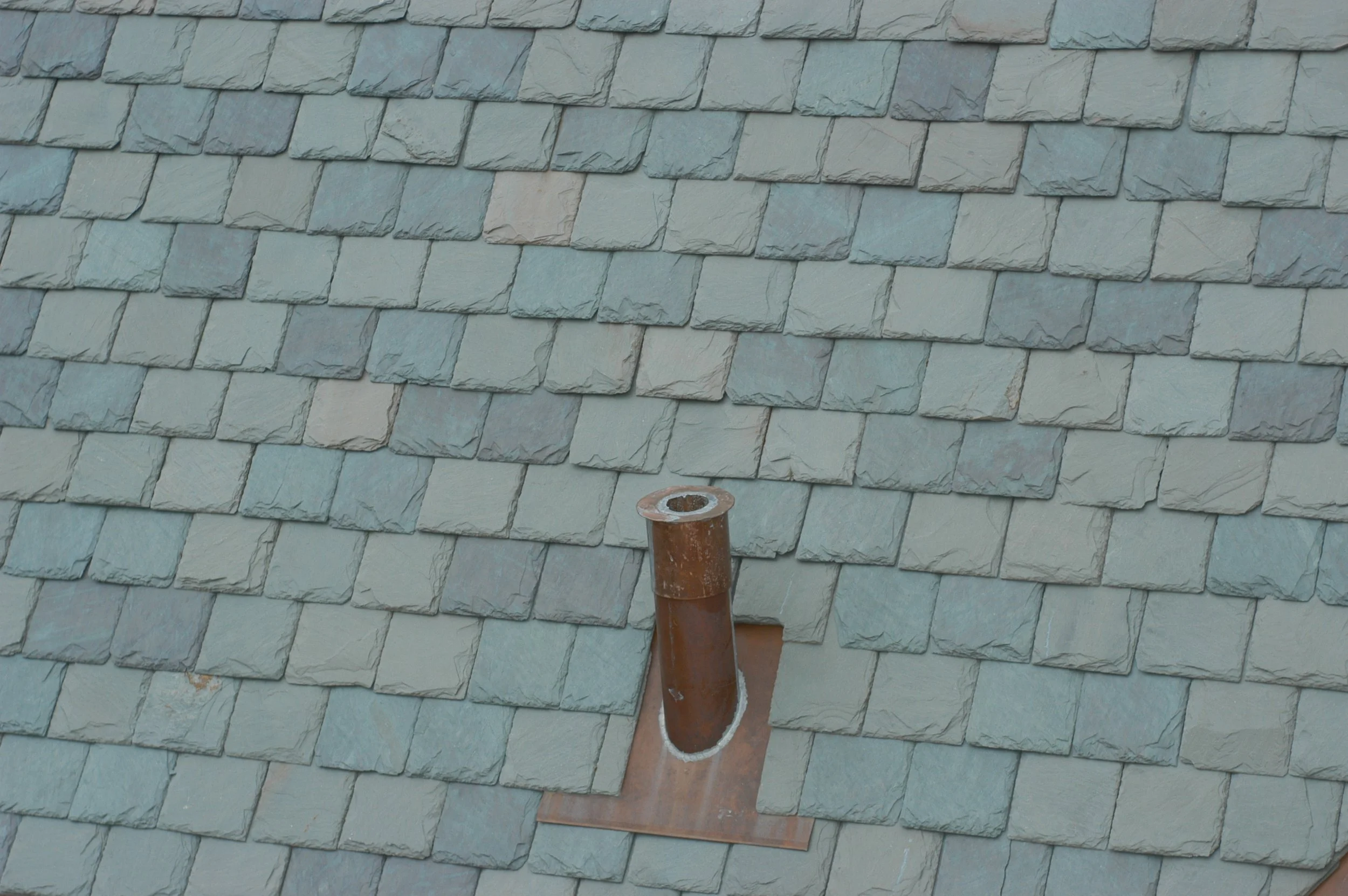 DSC_0146.JPG