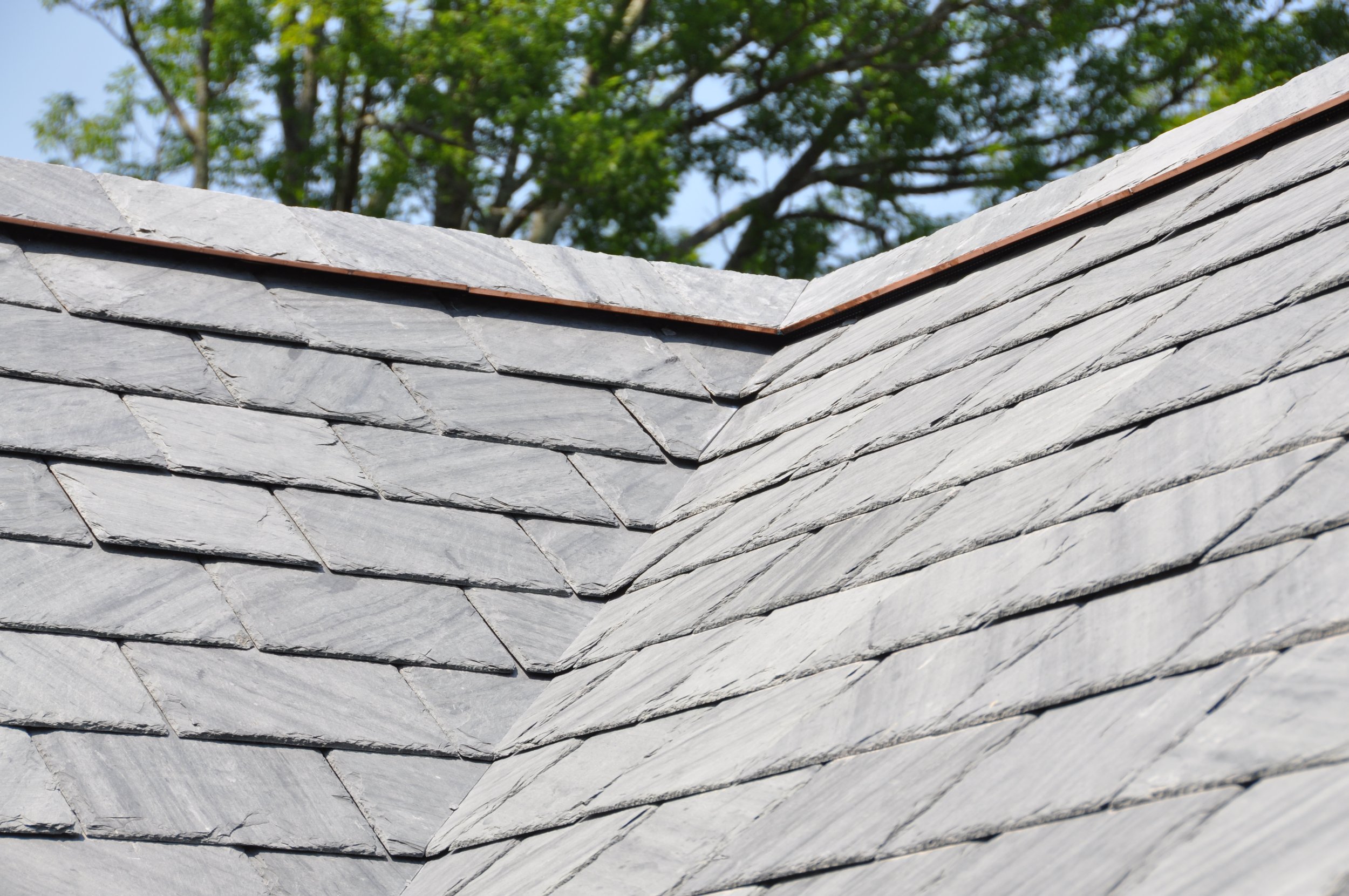 Close-up of a slate shingle roof with a background of blue sky and green tree branches.