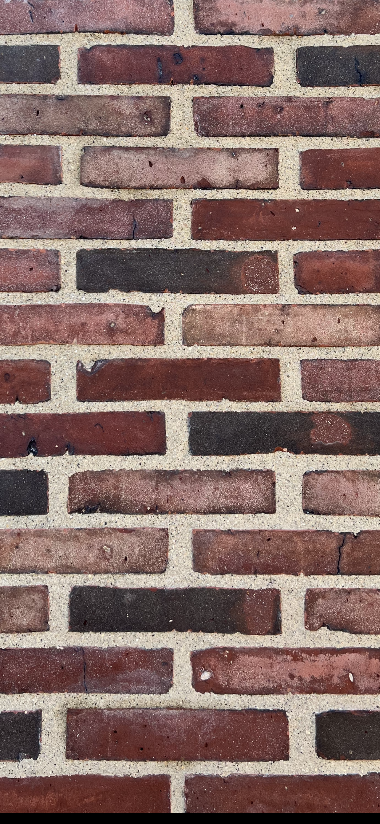 Close-up of a brick wall with red and black bricks and light gray mortar.