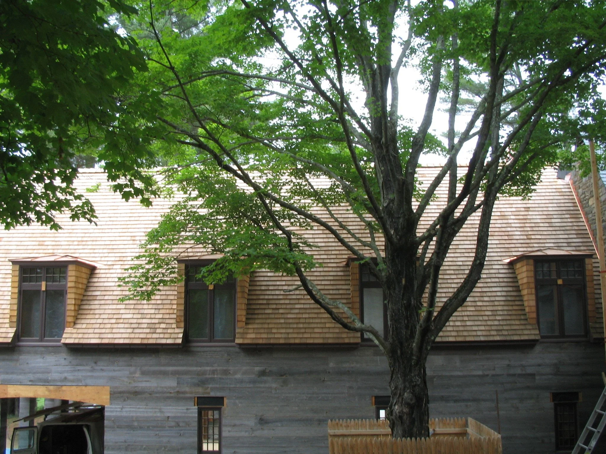 A house with a wooden shingle roof and modern black-framed windows, partially obscured by a large green tree in the foreground.