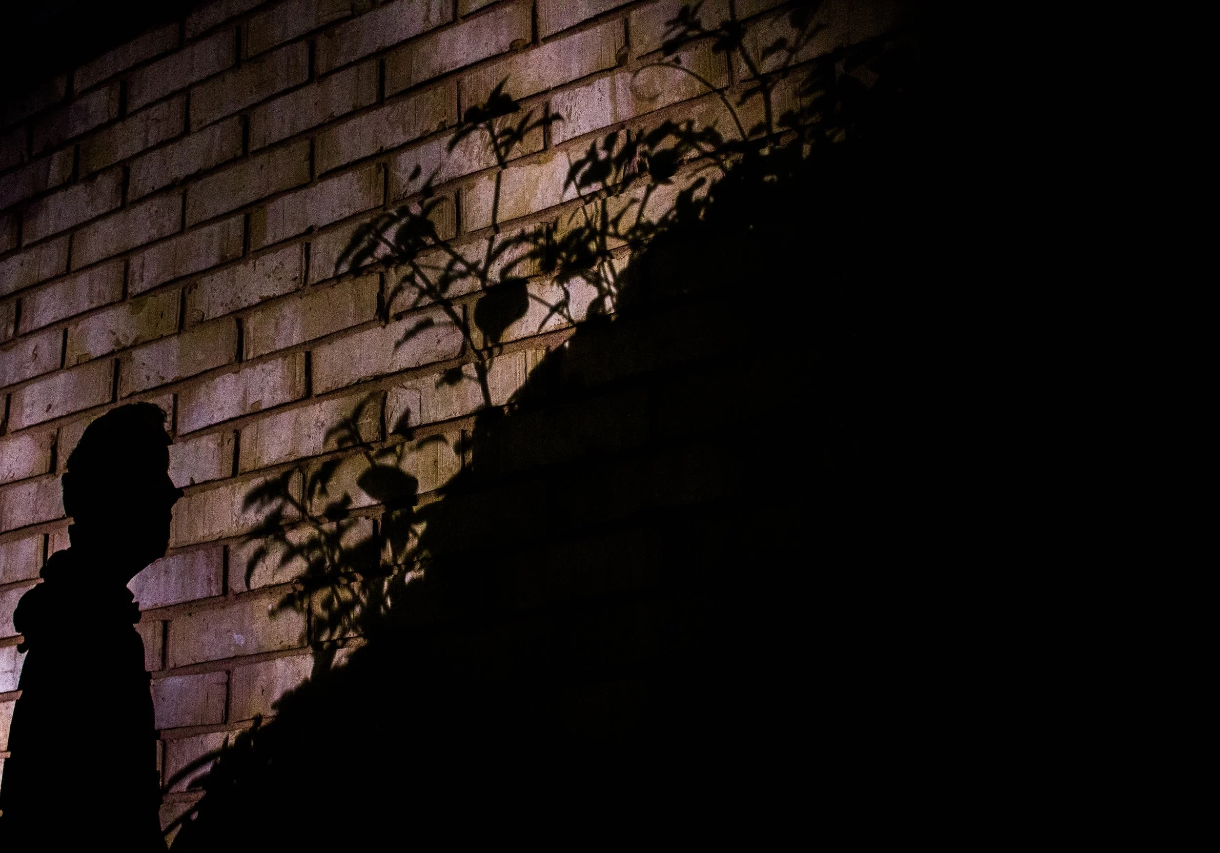 Shadow Play-1-3.jpg