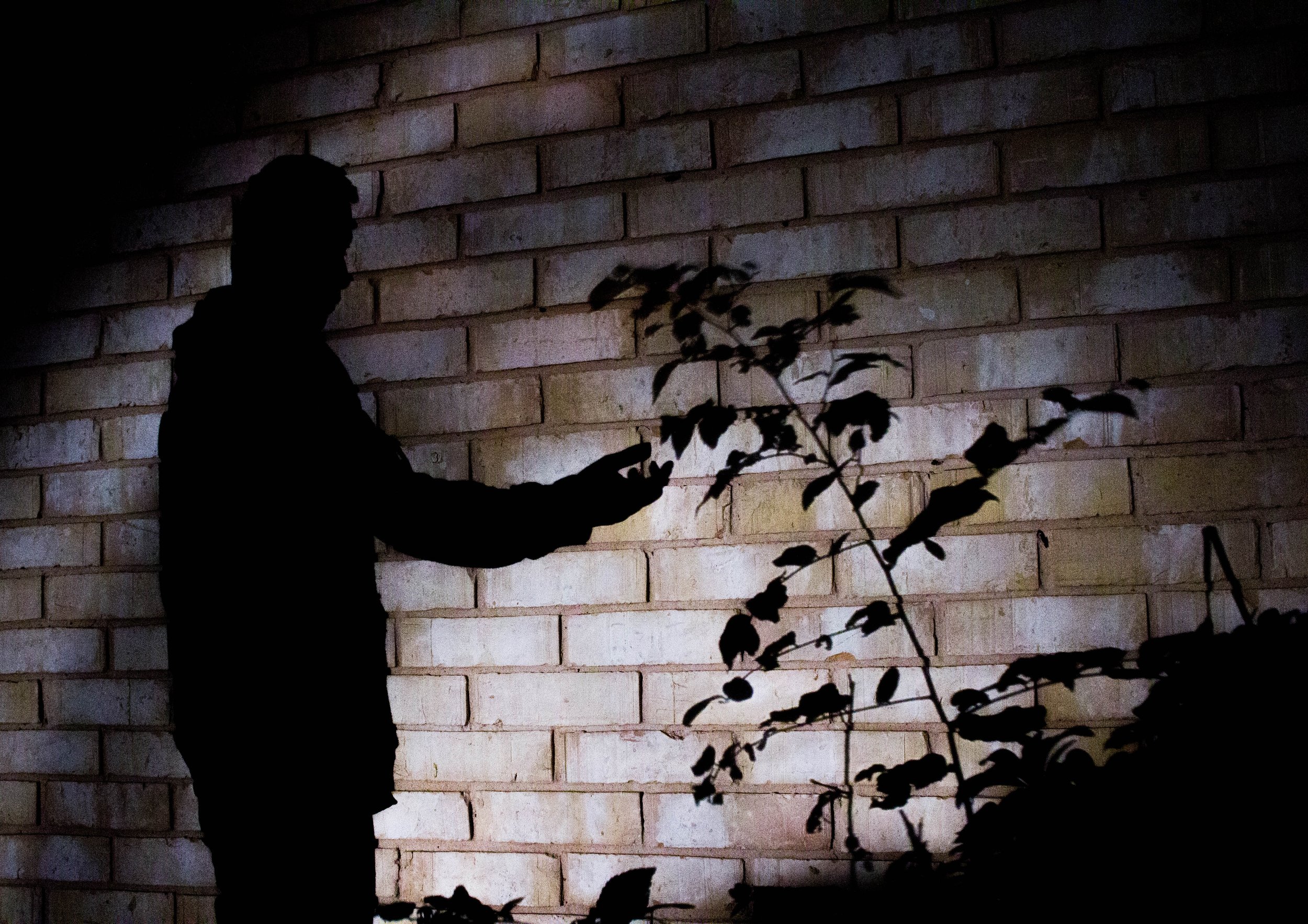 Shadow Play-1-4.jpg