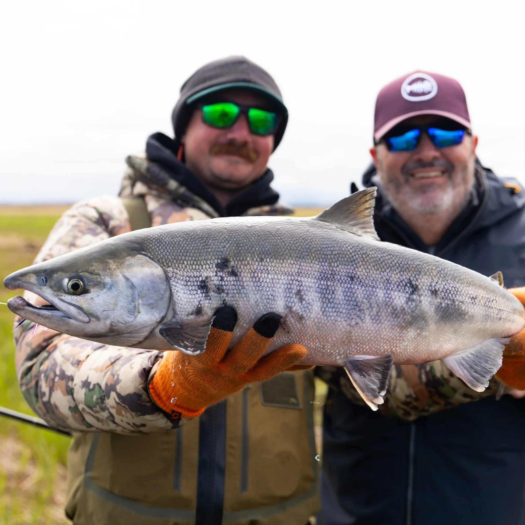 Fresh chum salmon for Steve