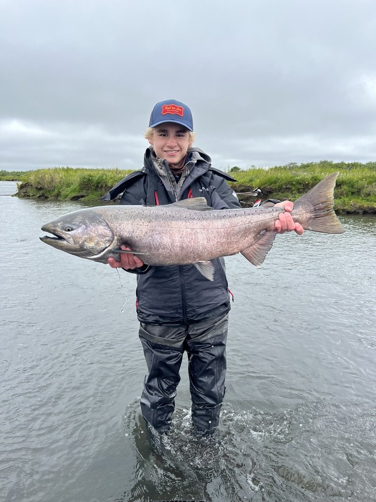 kingsalmon.jpeg