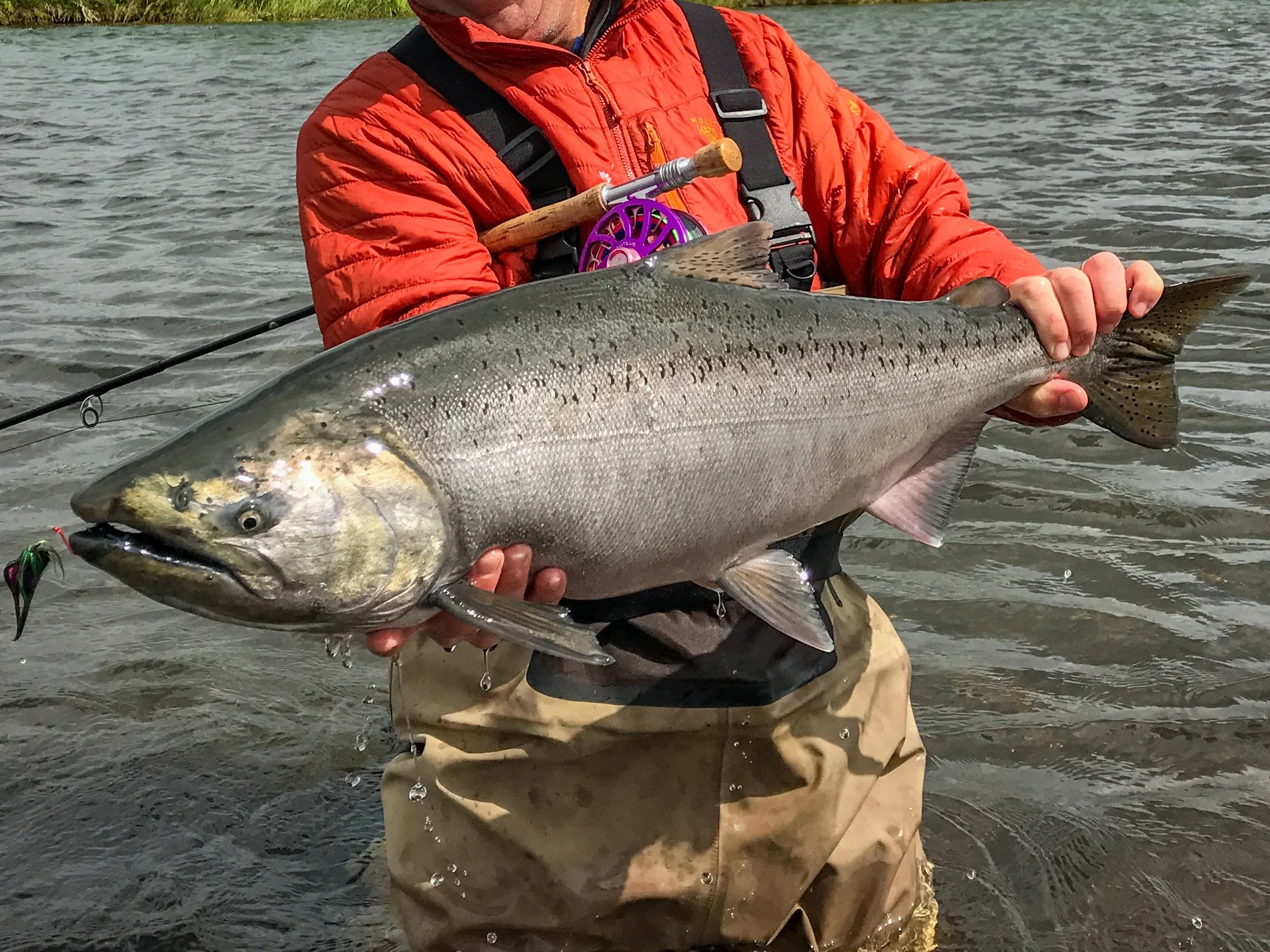 Person in a red jacket holding a large fish over water, with fishing gear and a fishing rod visible.