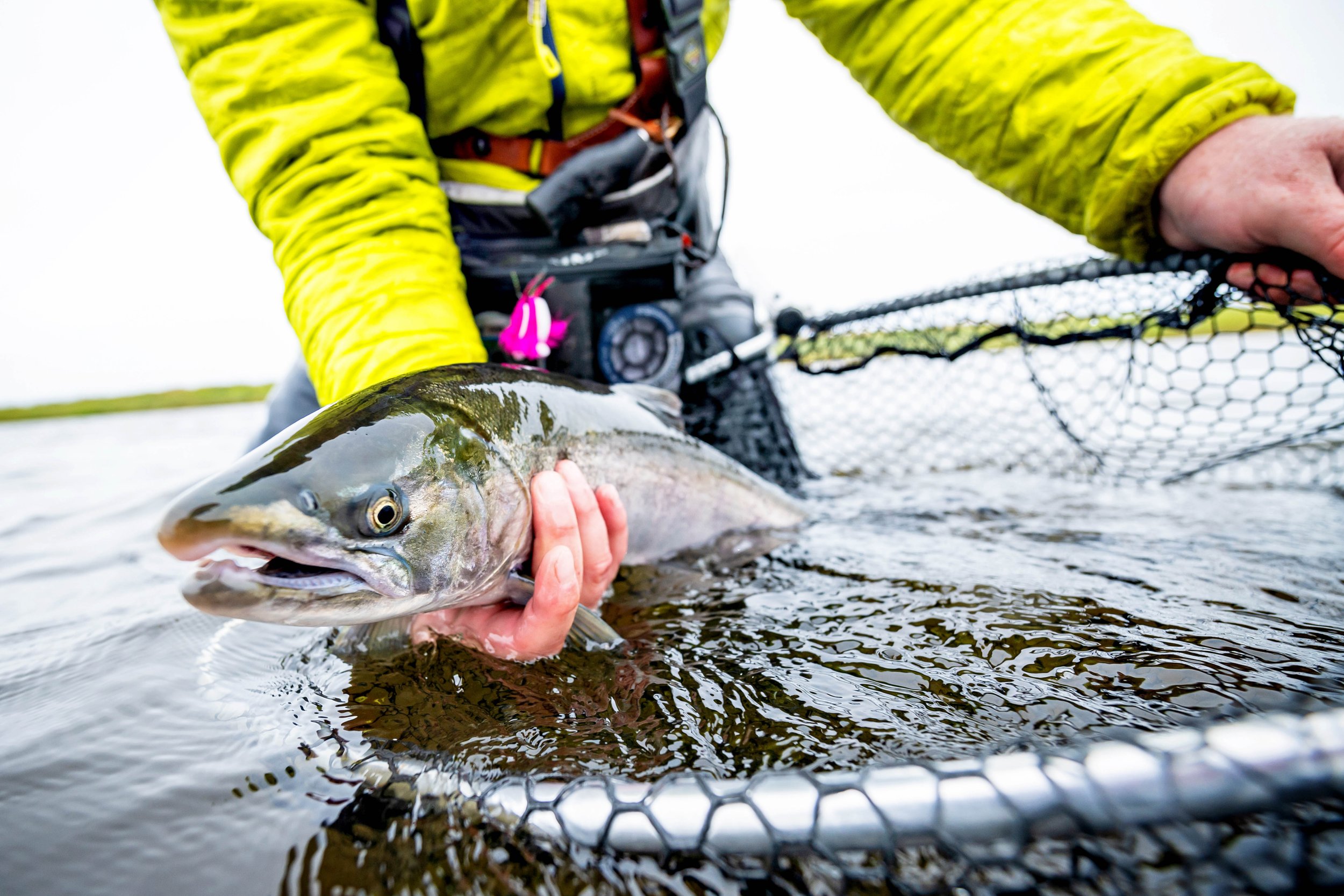 A person in a yellow jacket catching a large fish with a net in water at Lava Creek Lodge.