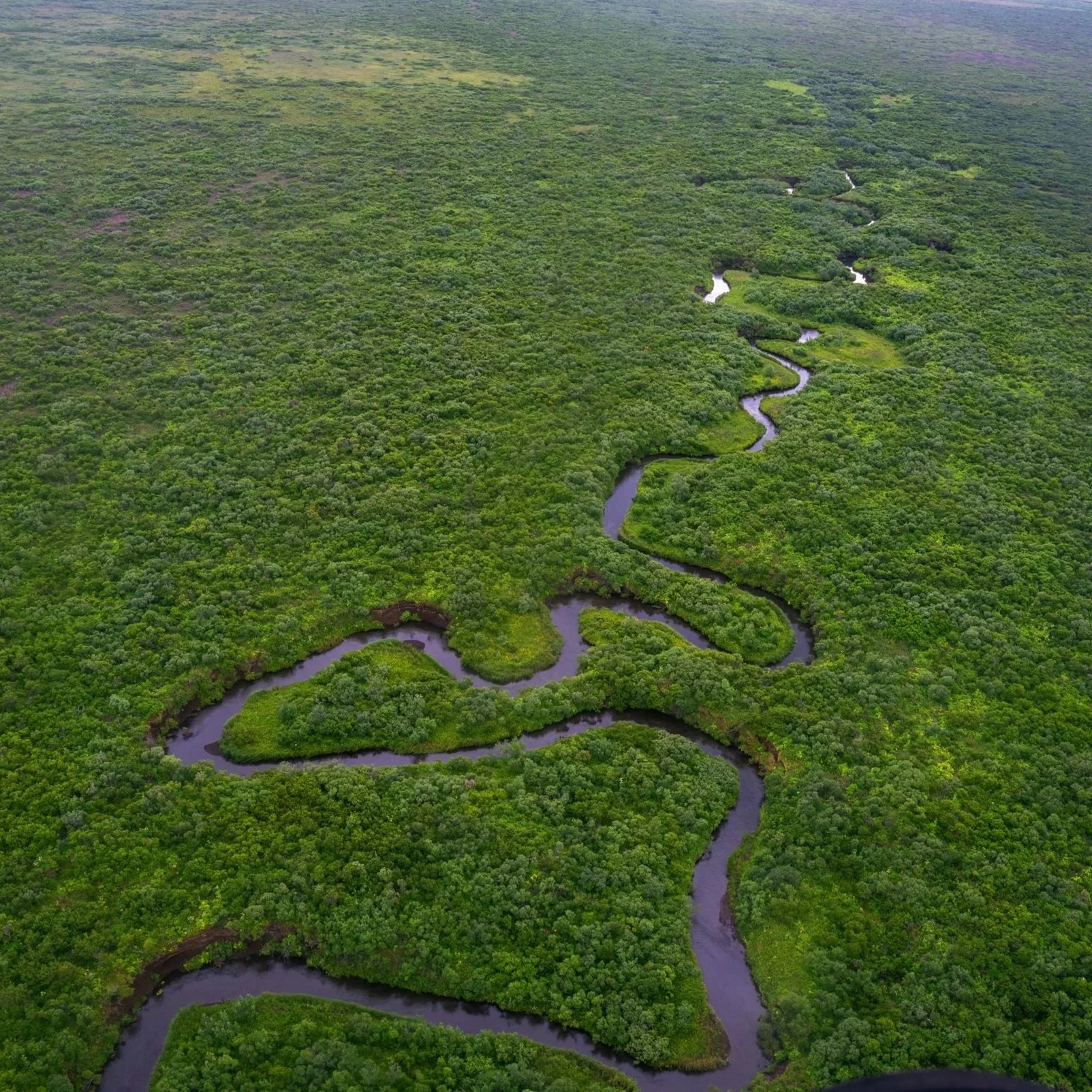 Aerial view of tundra and river channels near Lava Creek Lodge.