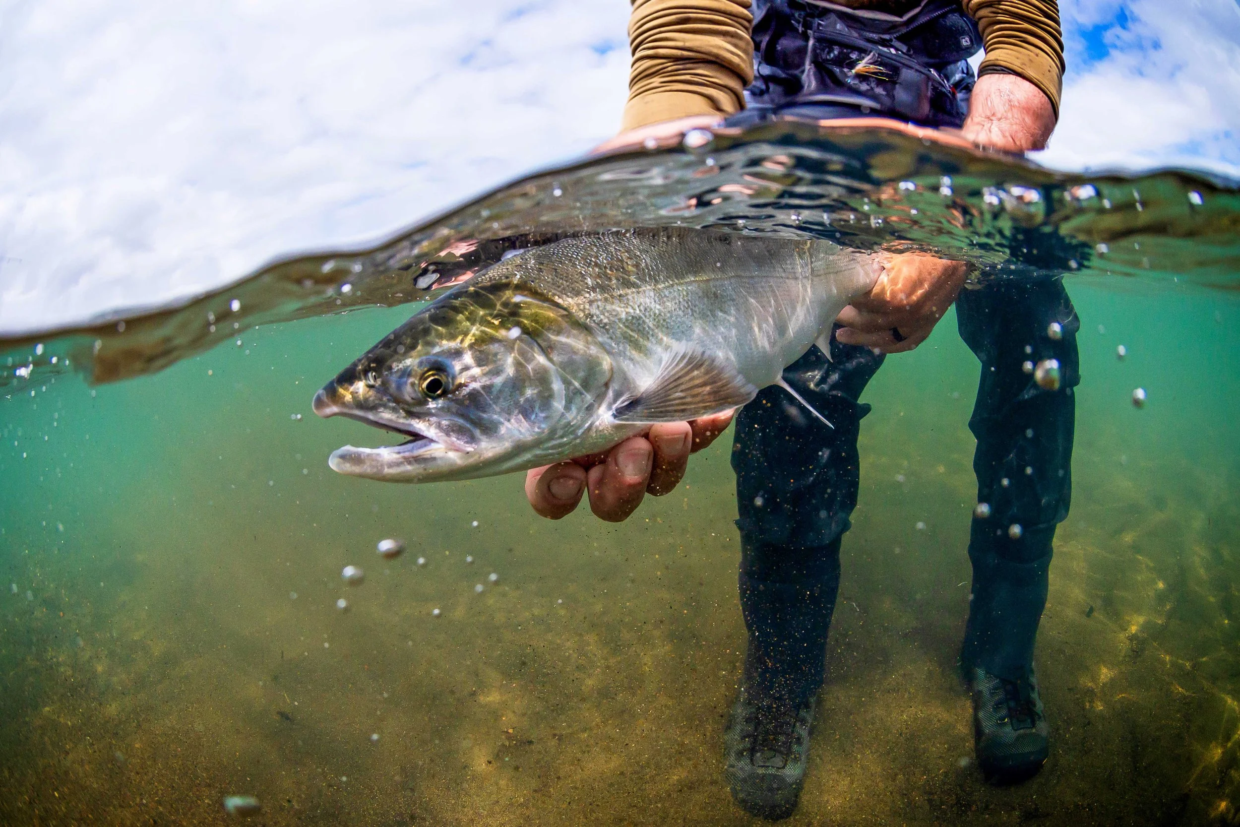 Angler holding a king salmon at Lava Creek Lodge, Alaska