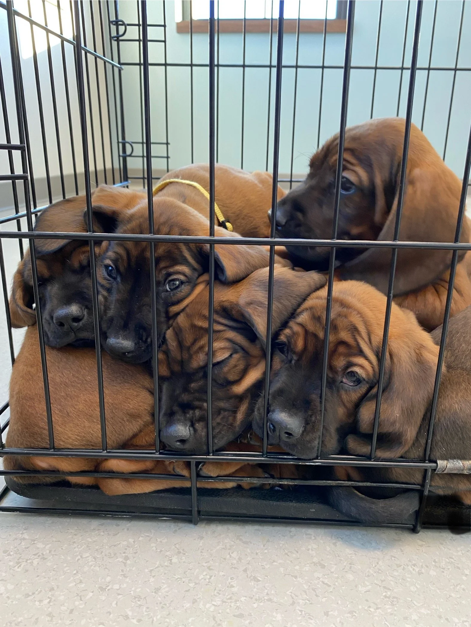 IMG_9708.JPG