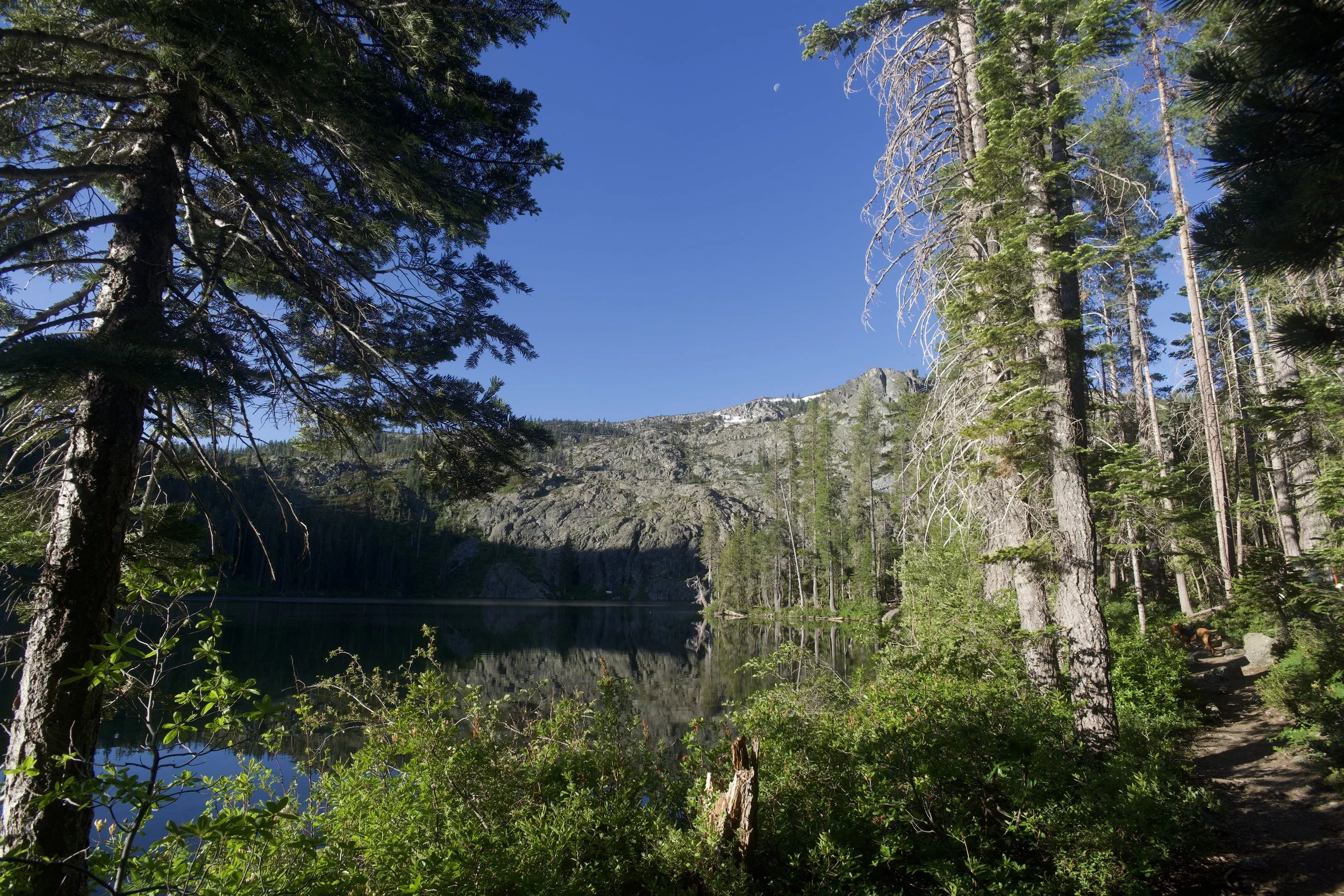 _DSC0045.jpeg