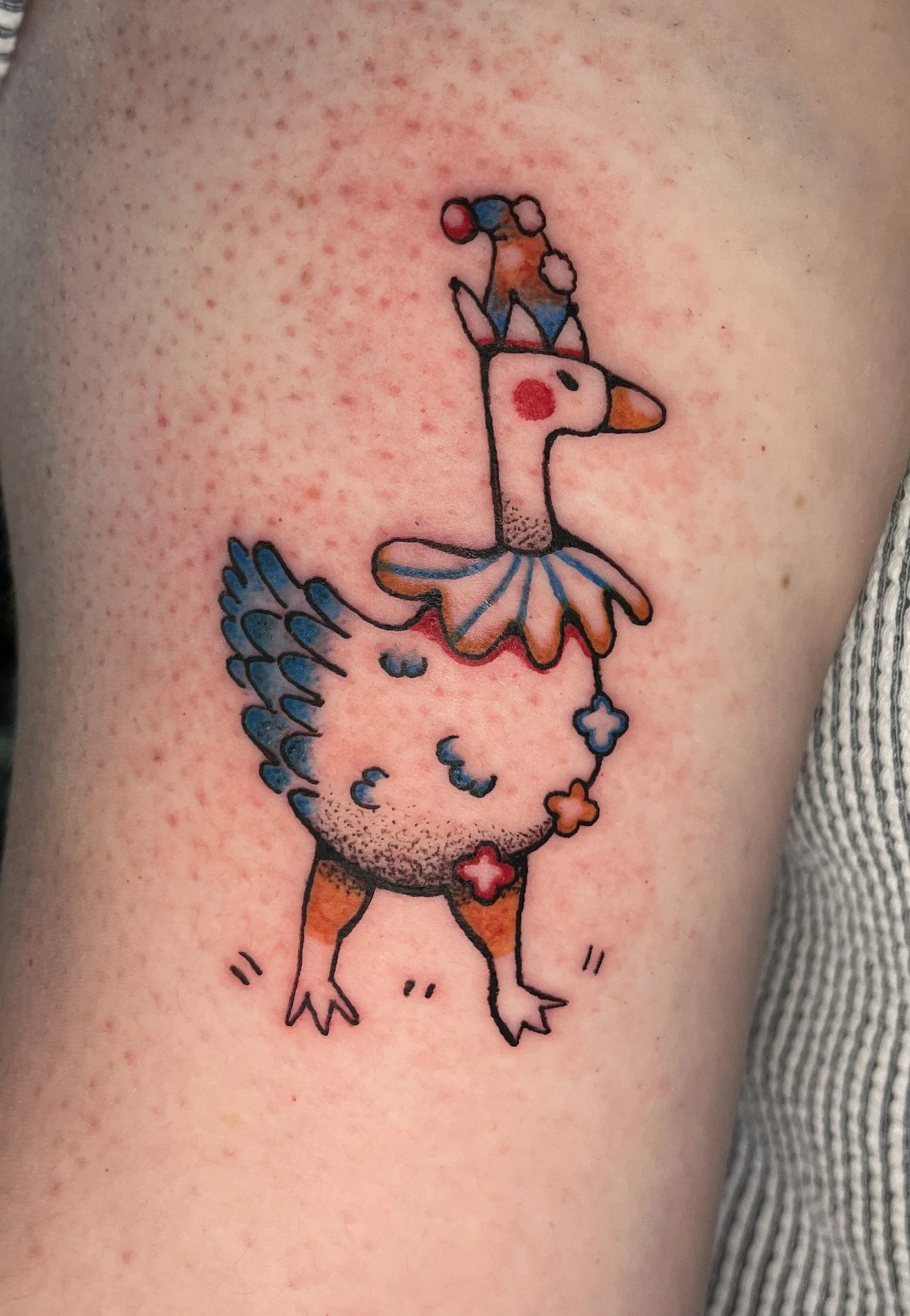 duck.jpg